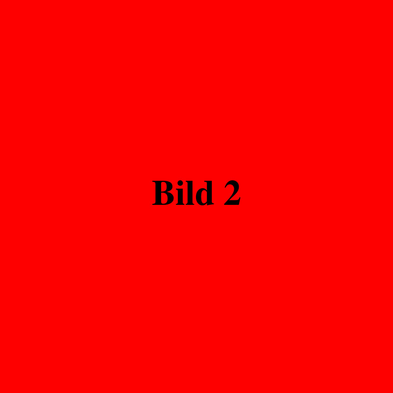 043.06.bild2.jpg