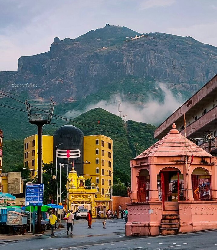 Girnar Shiva Lingam NATURAL.jpg