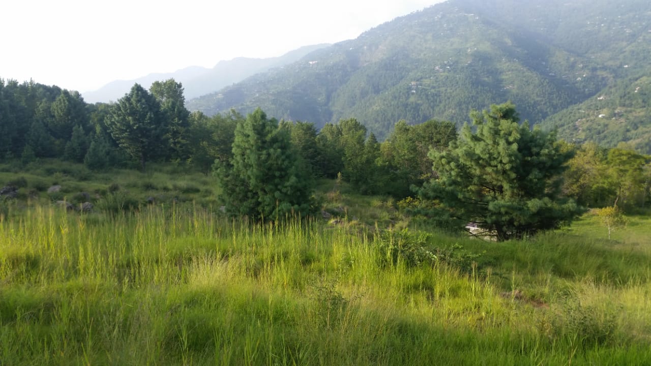 IMG-20180907-WA0013.jpg