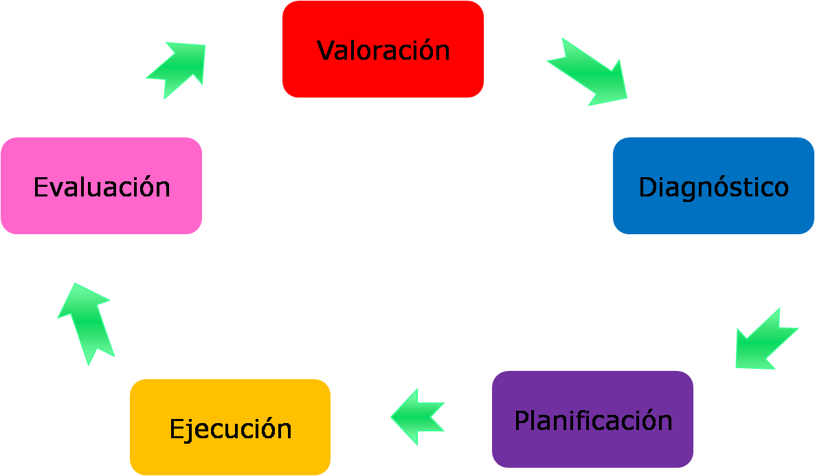 PROCESO DE ENFERMERIA.png