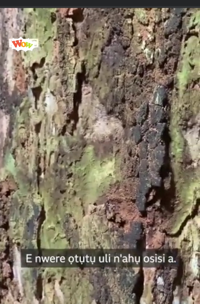 Screenshot_20211007-173134_2.png