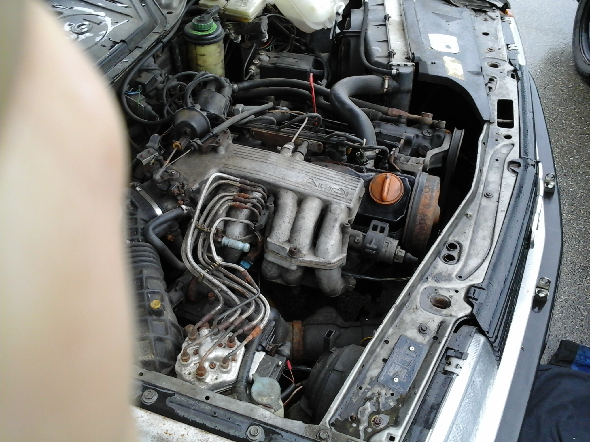 20180613_124431.jpg