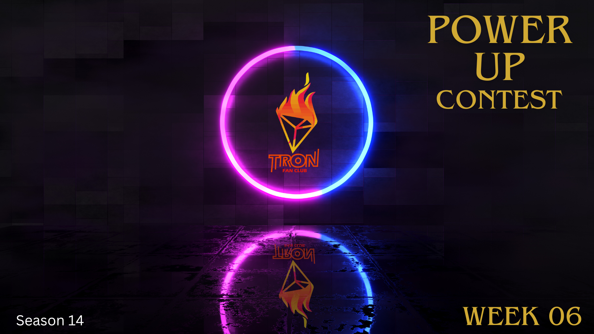 pucs14w6.png