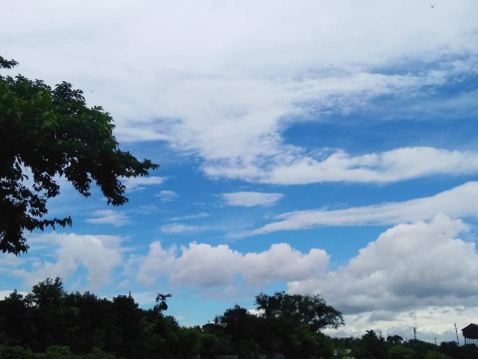 received_1014001515806026.jpeg
