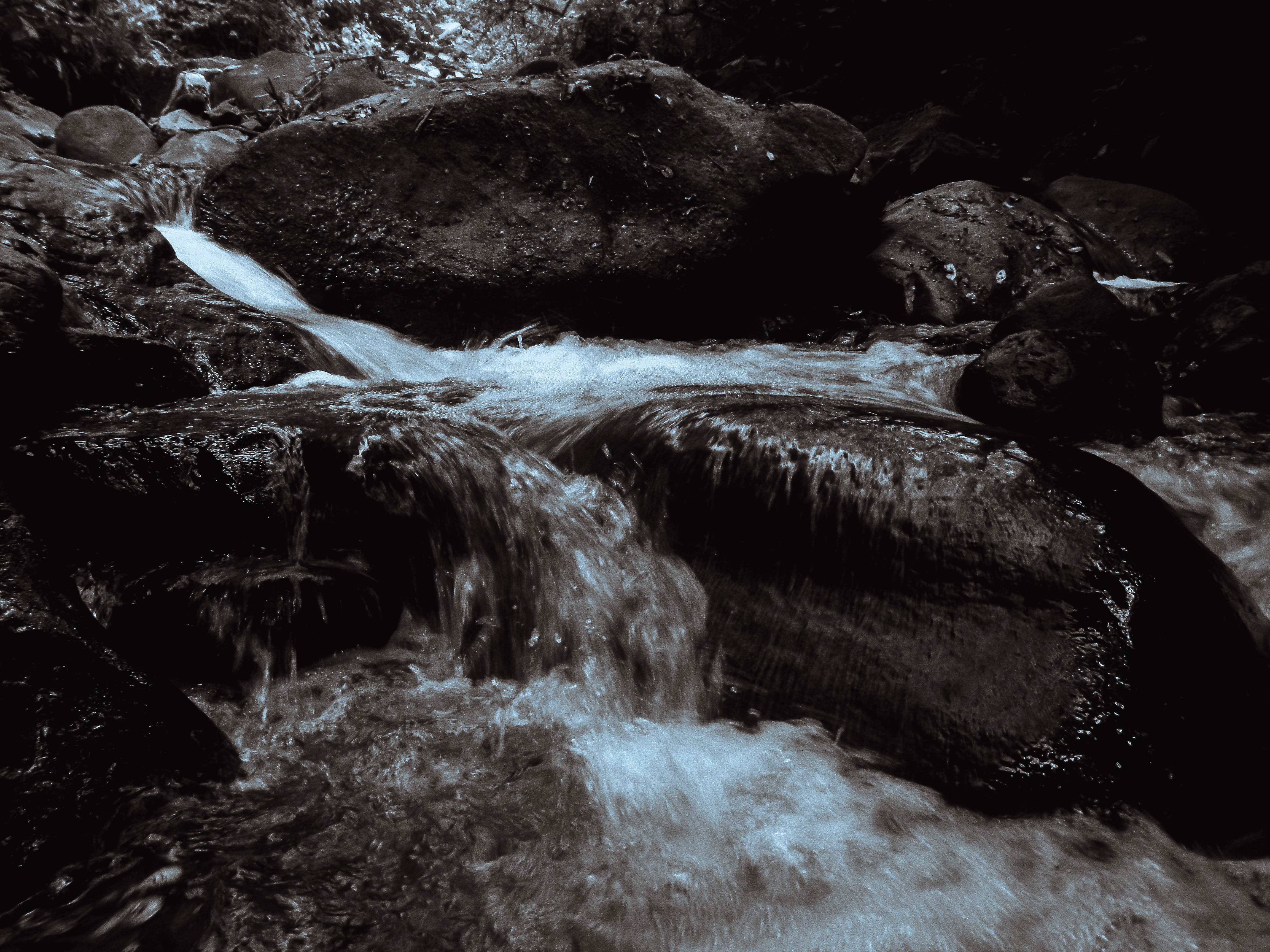 DSCN1011.jpg
