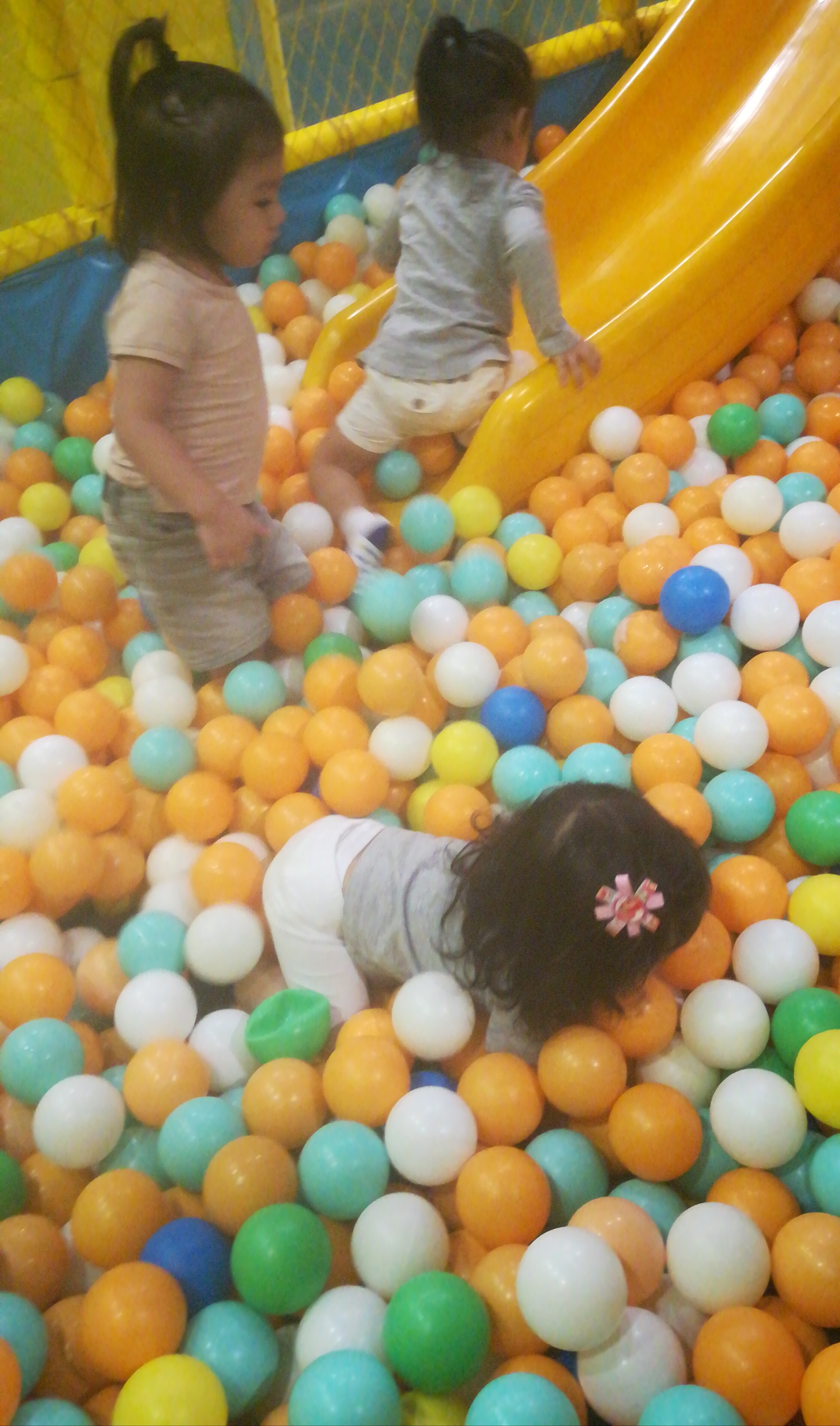 IMG_20190217_131228.jpg