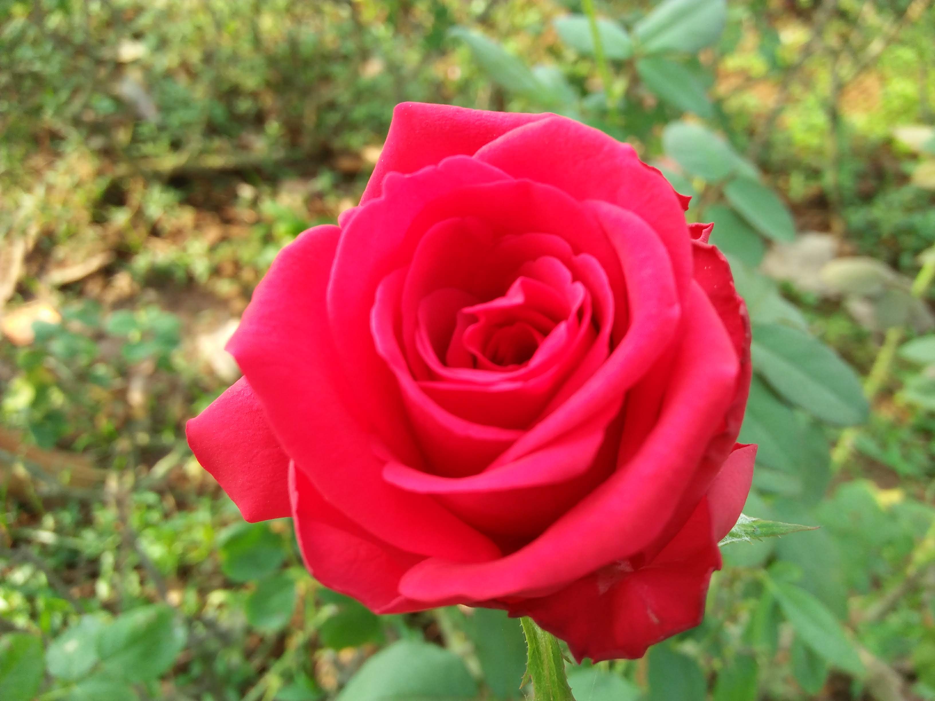 IMG20181019145029.jpg