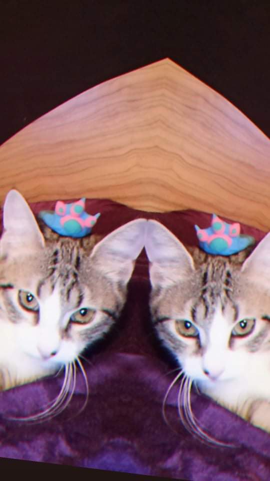 received_226189062189197.jpeg