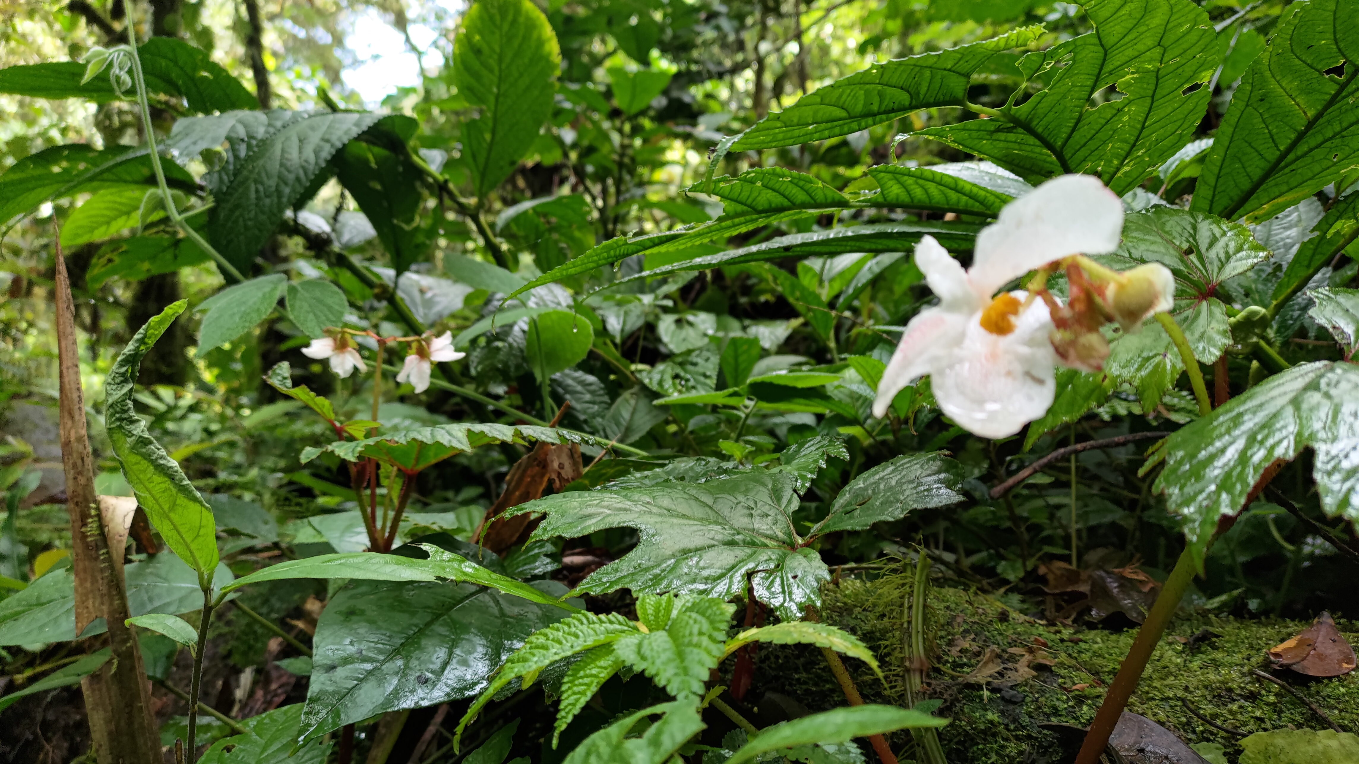 P_20210315_121919.jpg