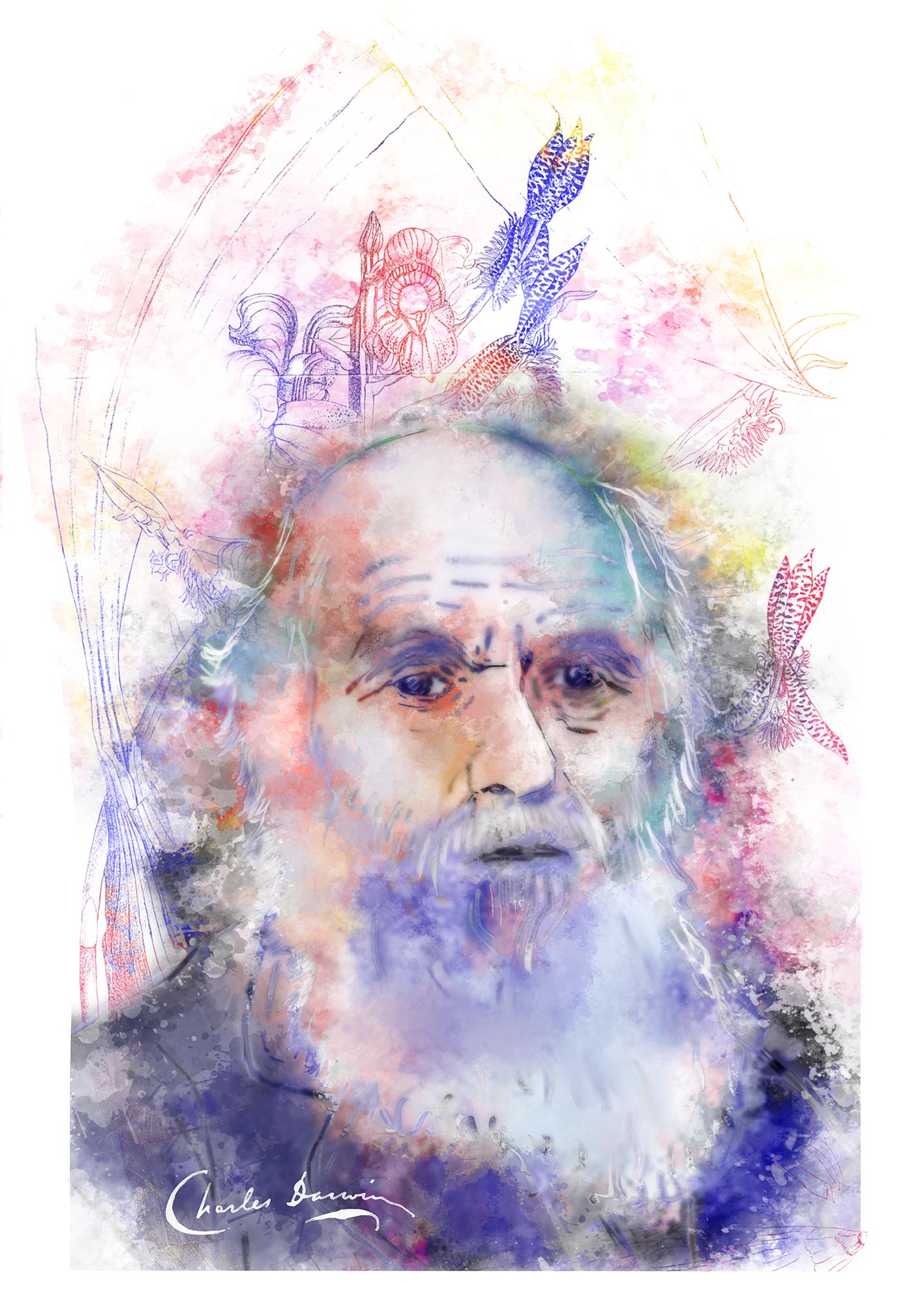DarwinProject_Front__00.jpg