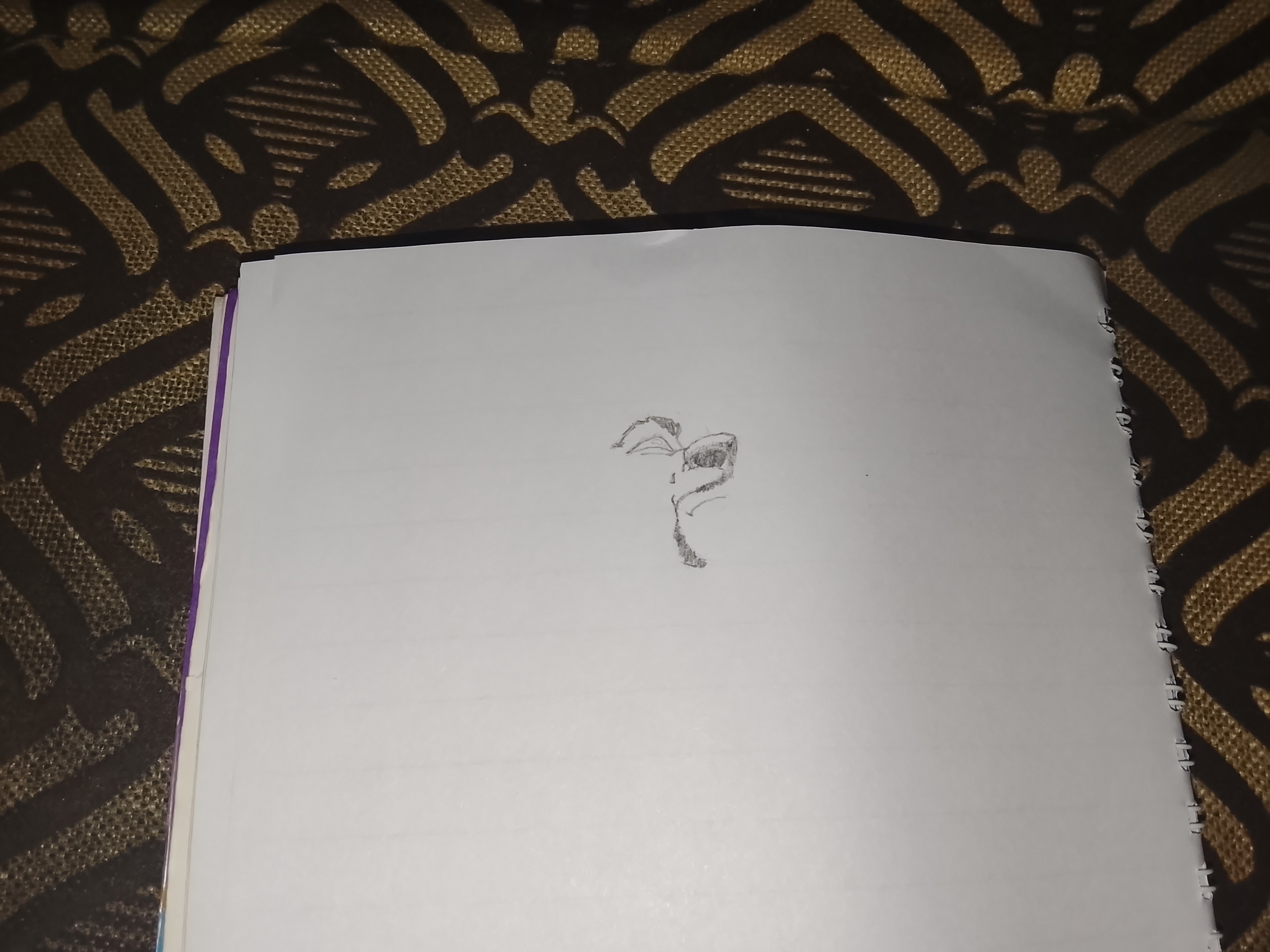 1000143737.jpg