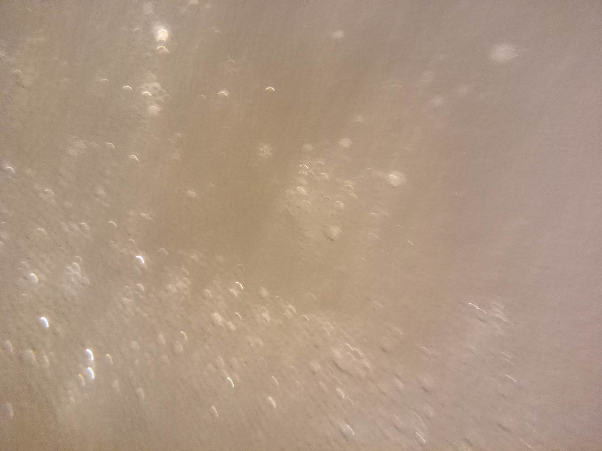 316984911_3286146011652823_7608552421840187078_n.jpg