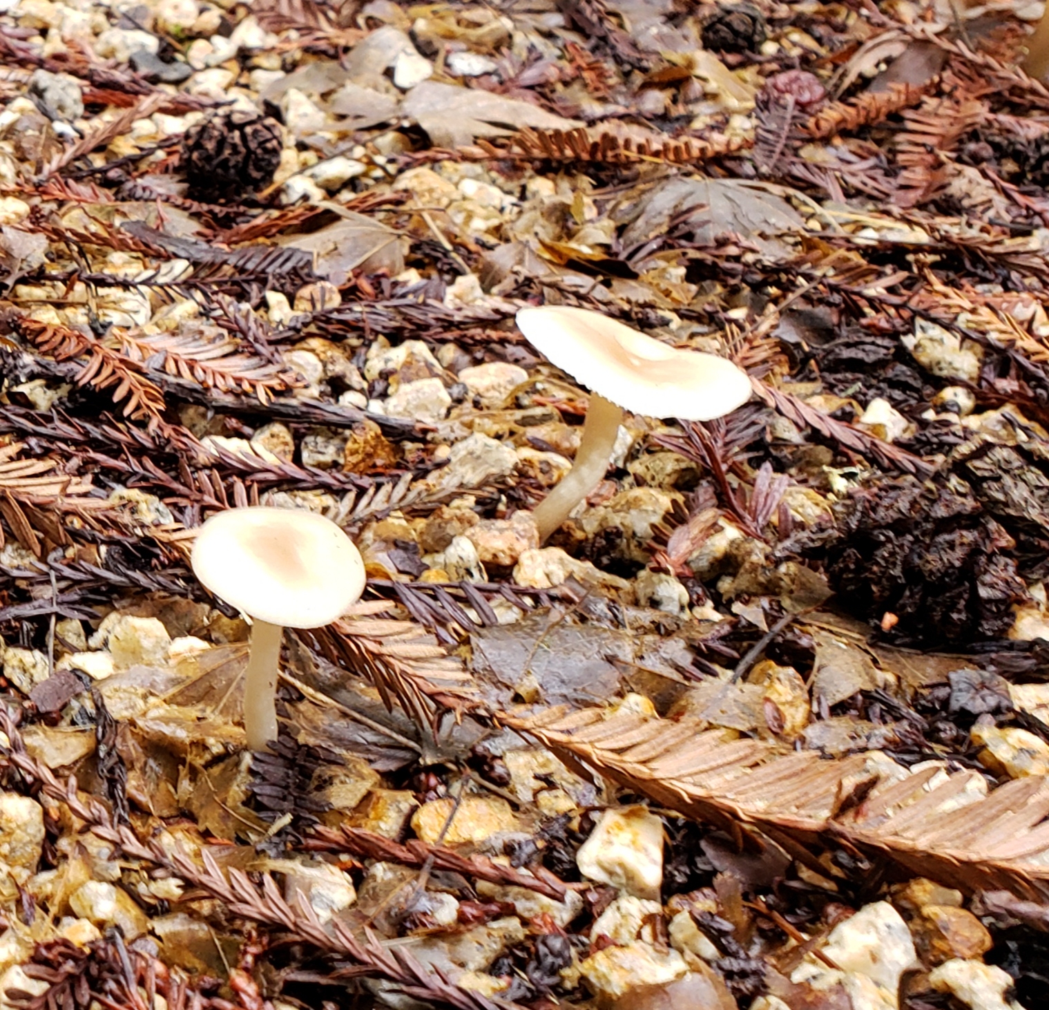 20190402_004428.jpg