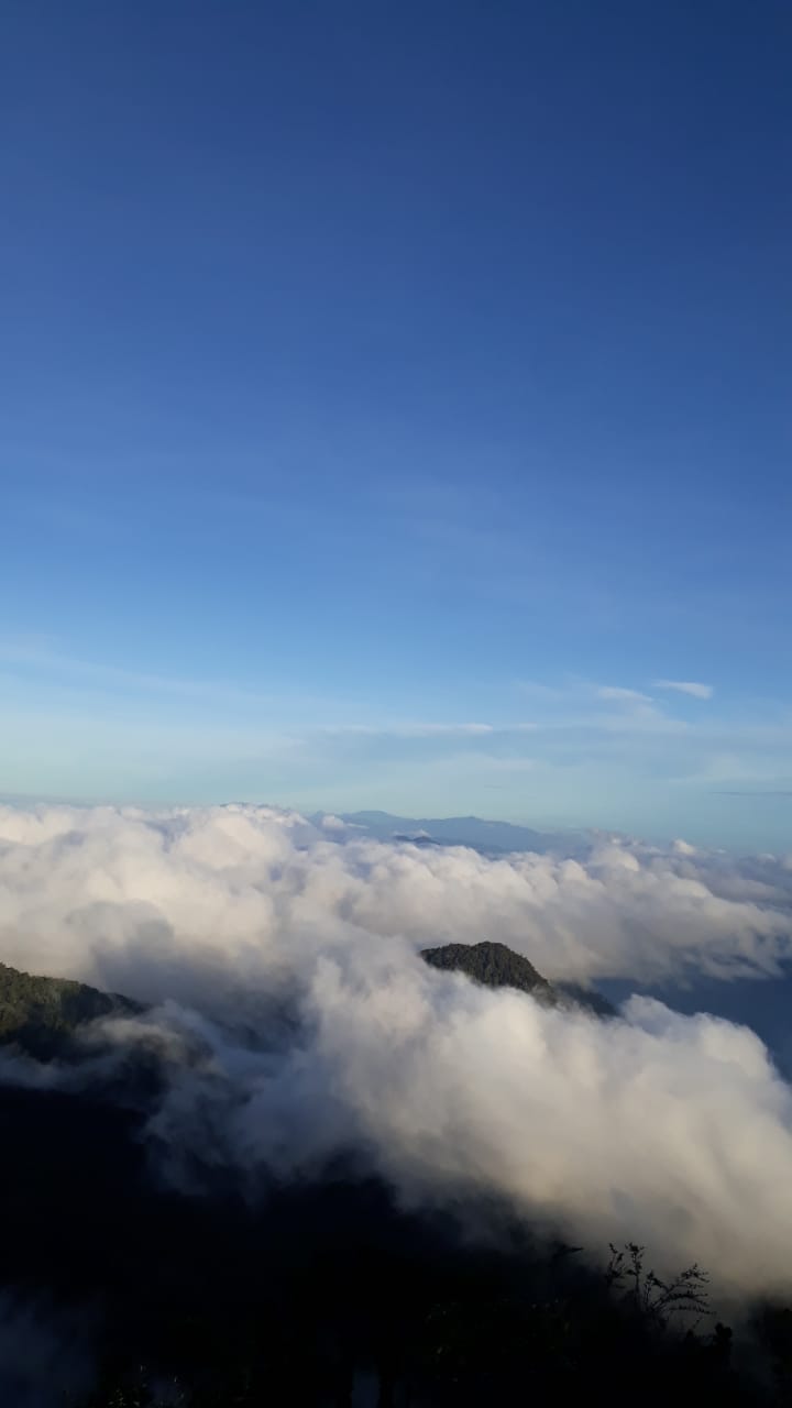 6C56C506-ED24-4A04-A969-949D21753B07.jpeg