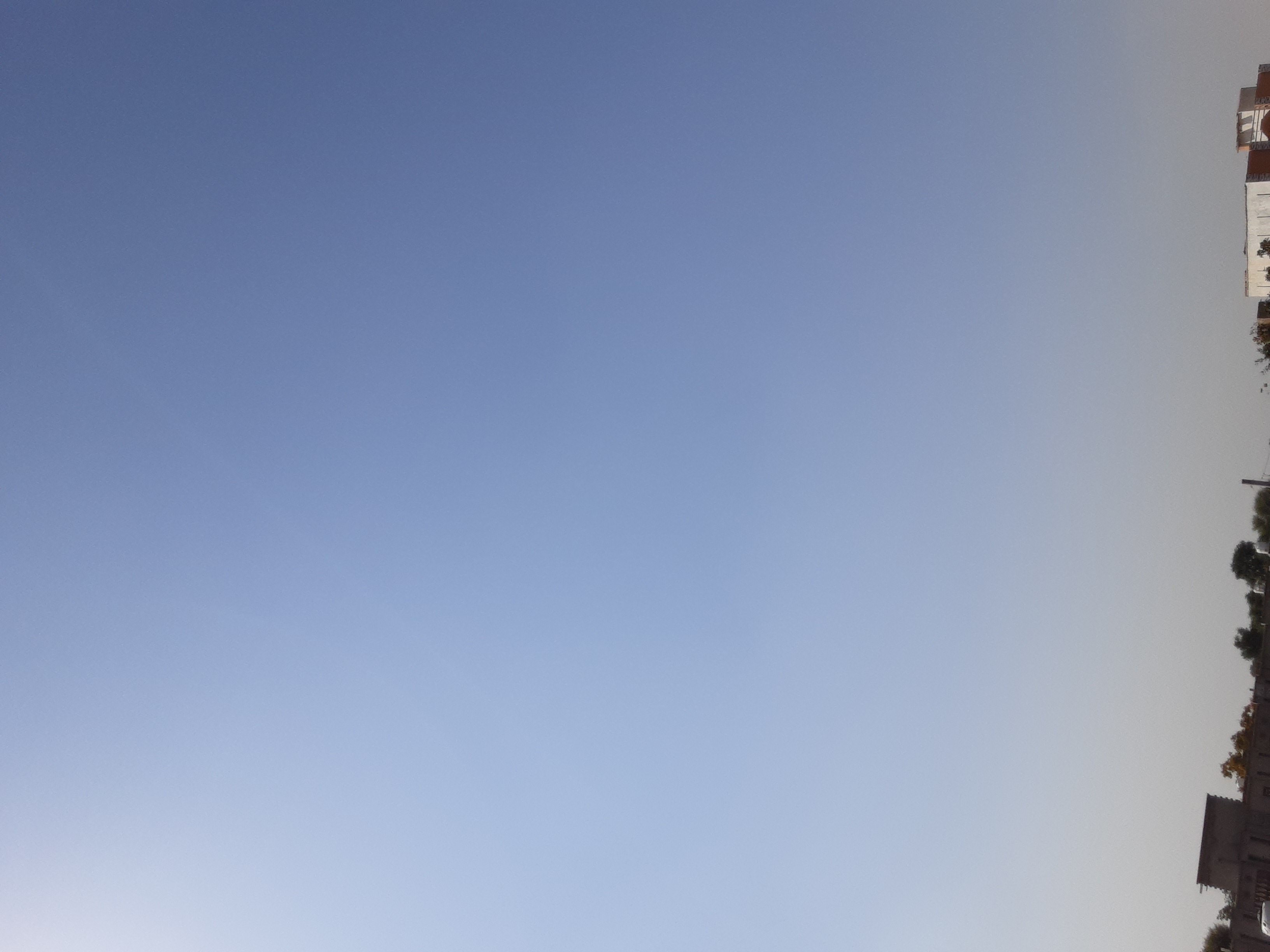 20241003_134211.jpg