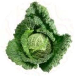 leafy-green.png