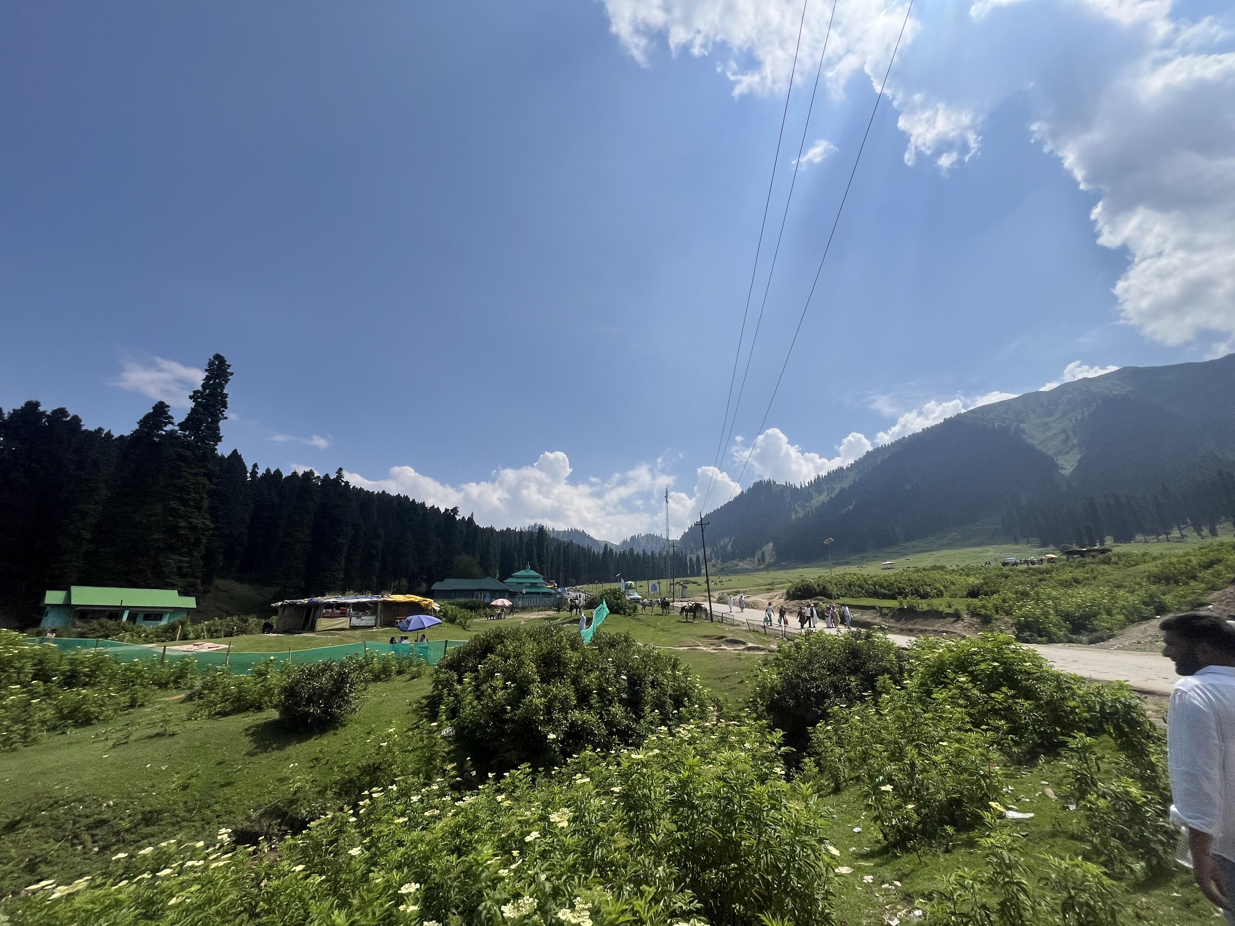 IMG_0695.jpeg