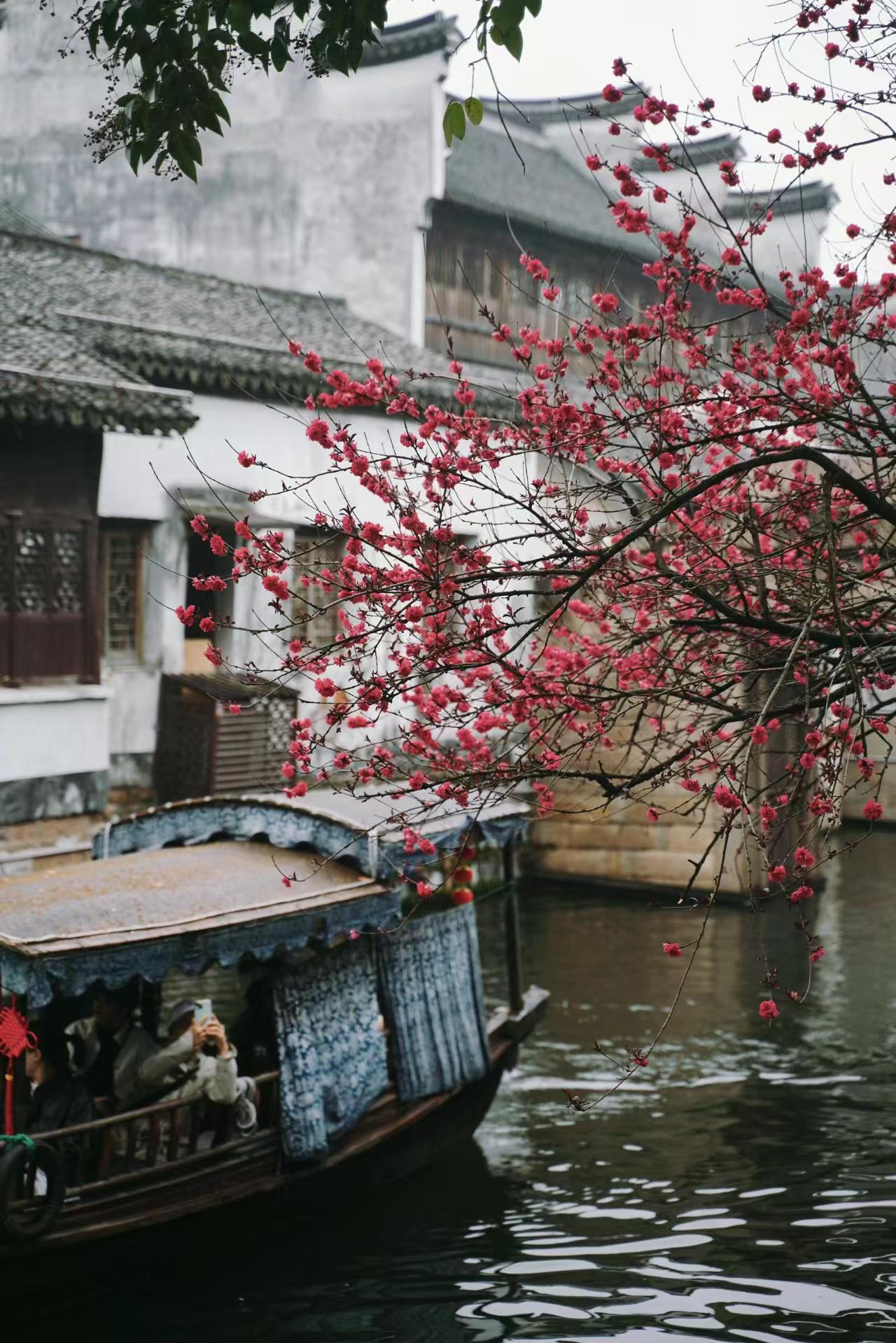 微信图片_20250409112332.jpg