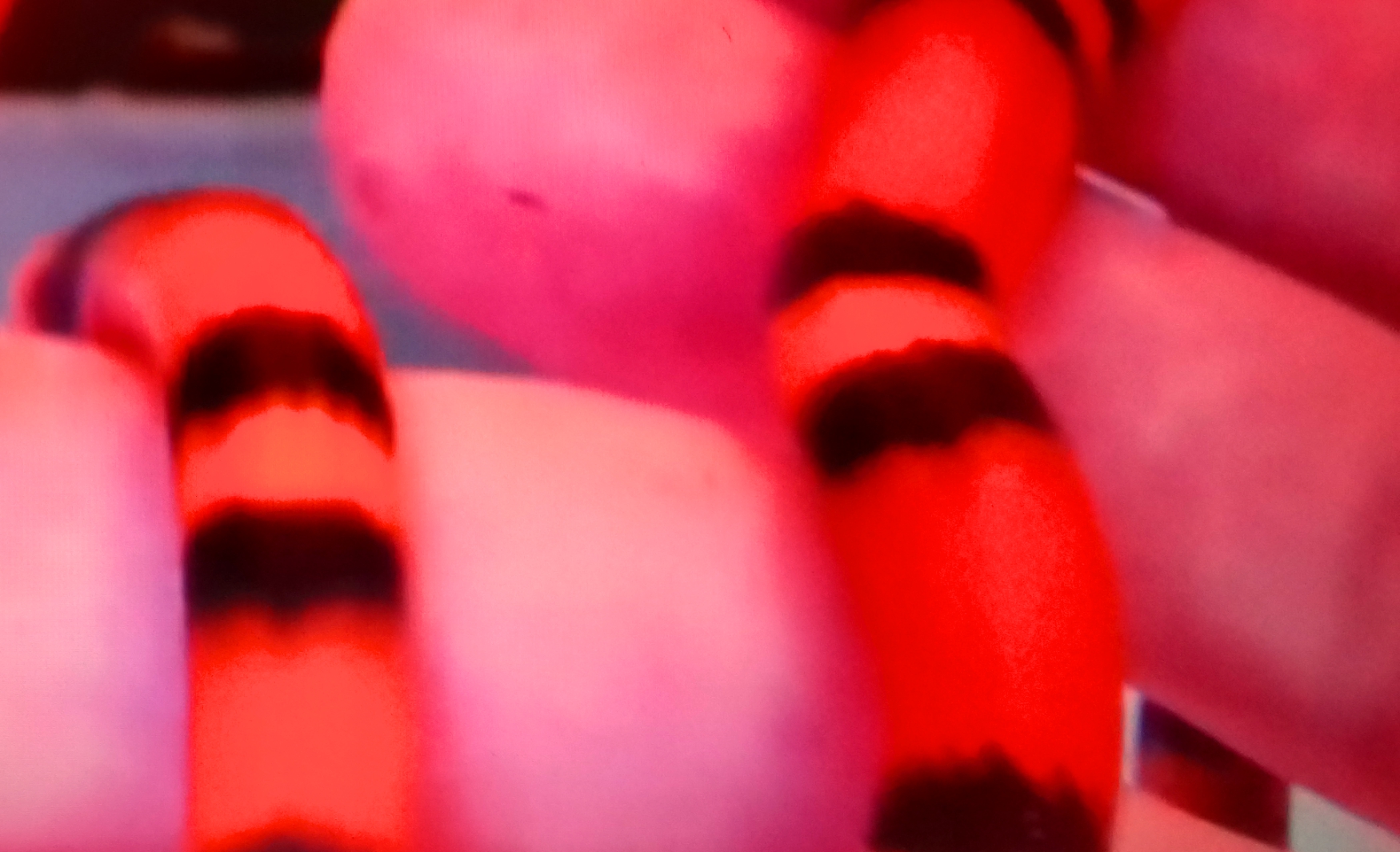 s1.jpg