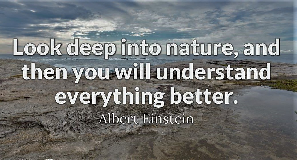 Quote of day: “Look deep into nature and then you will understand everything better.” — Steemit