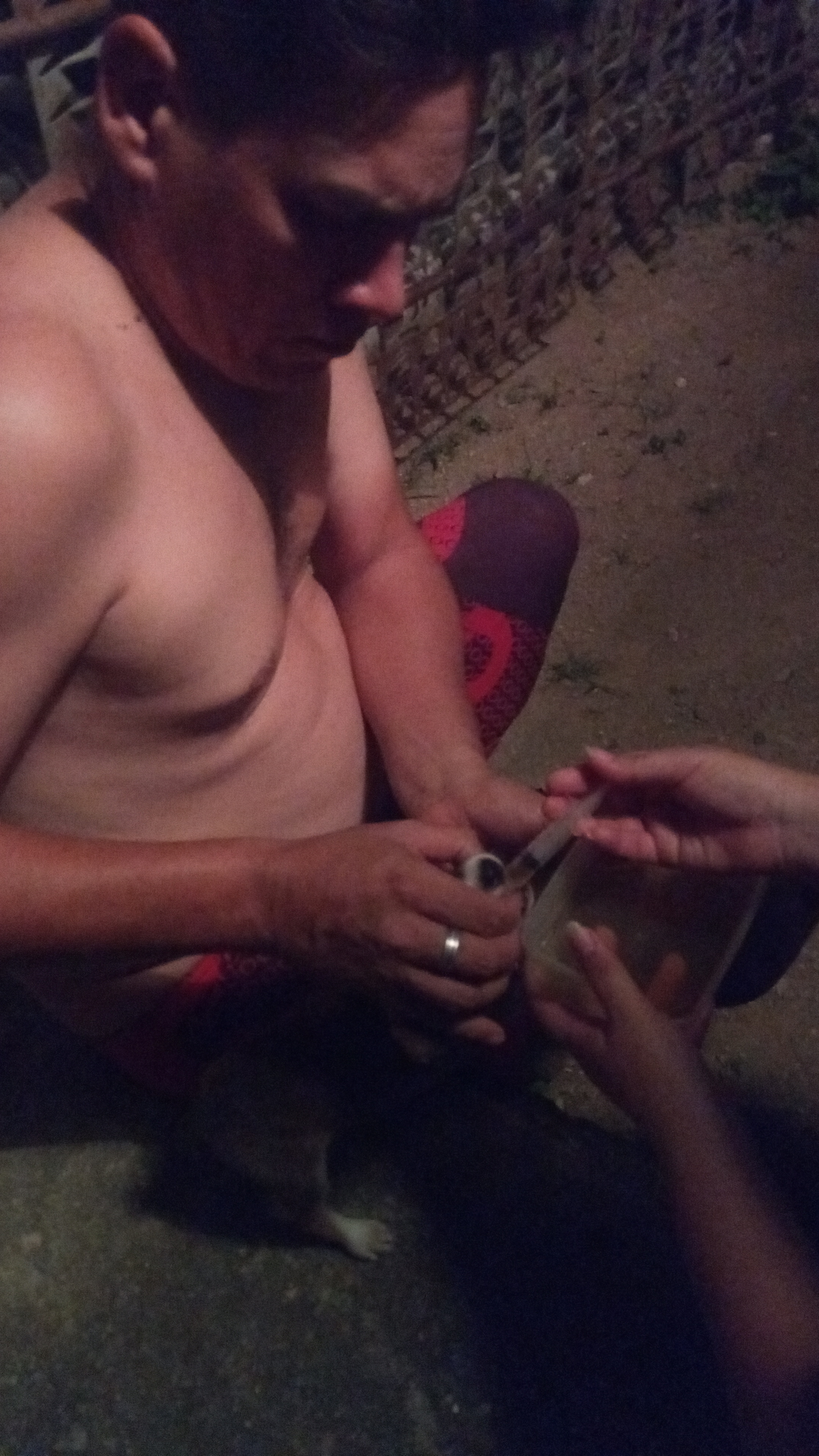 IMG_20210615_210950.jpg
