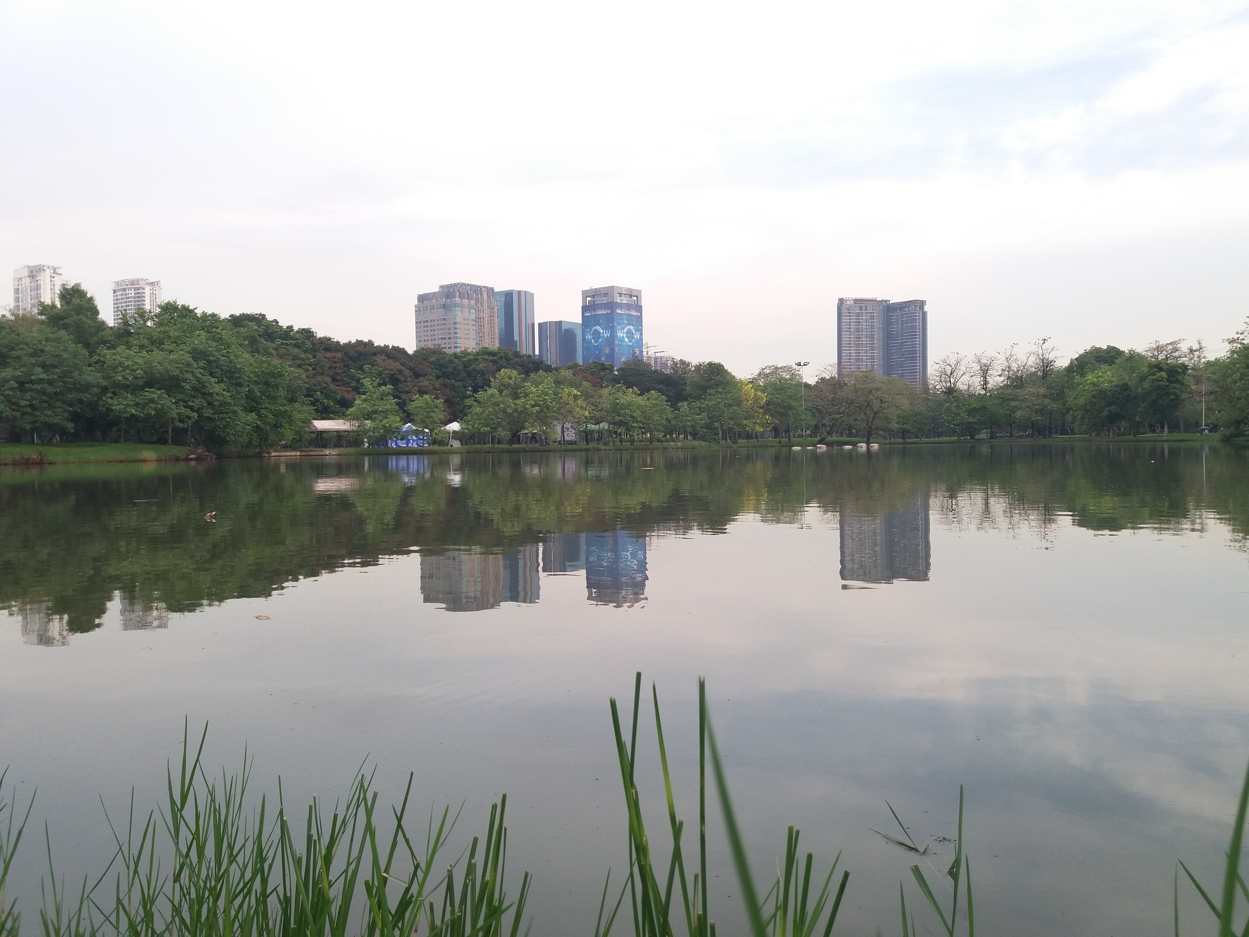 20180512_172125.jpg