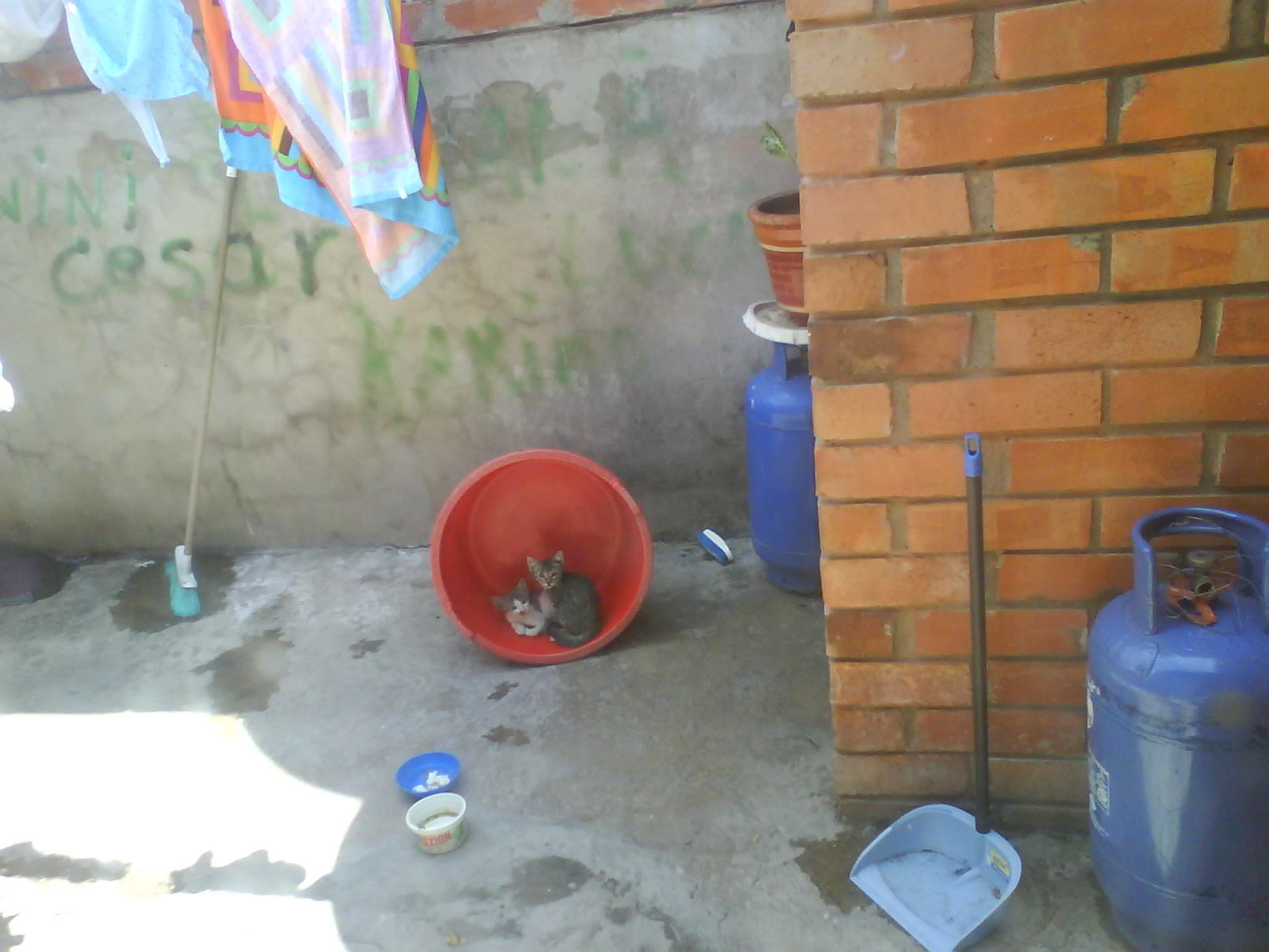 Fotografía 0594.jpg