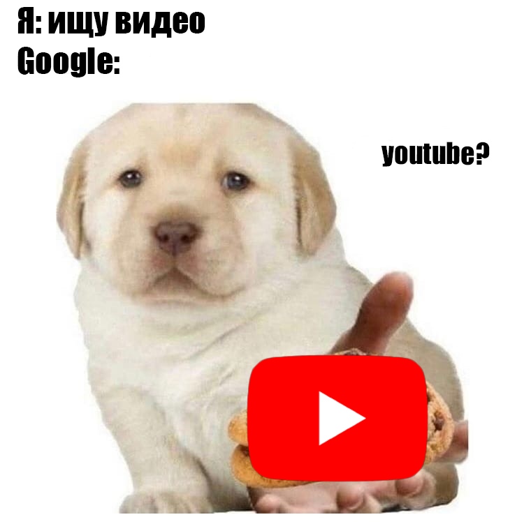 4JWuv5jBt8w.jpg