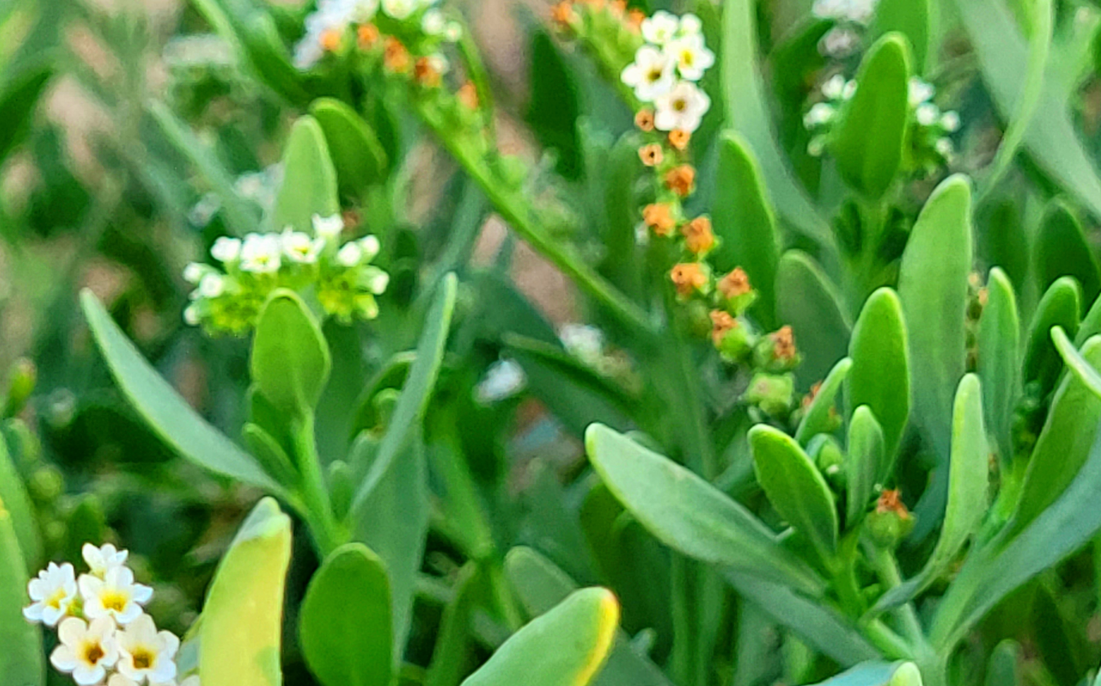 20240424_172601.jpg