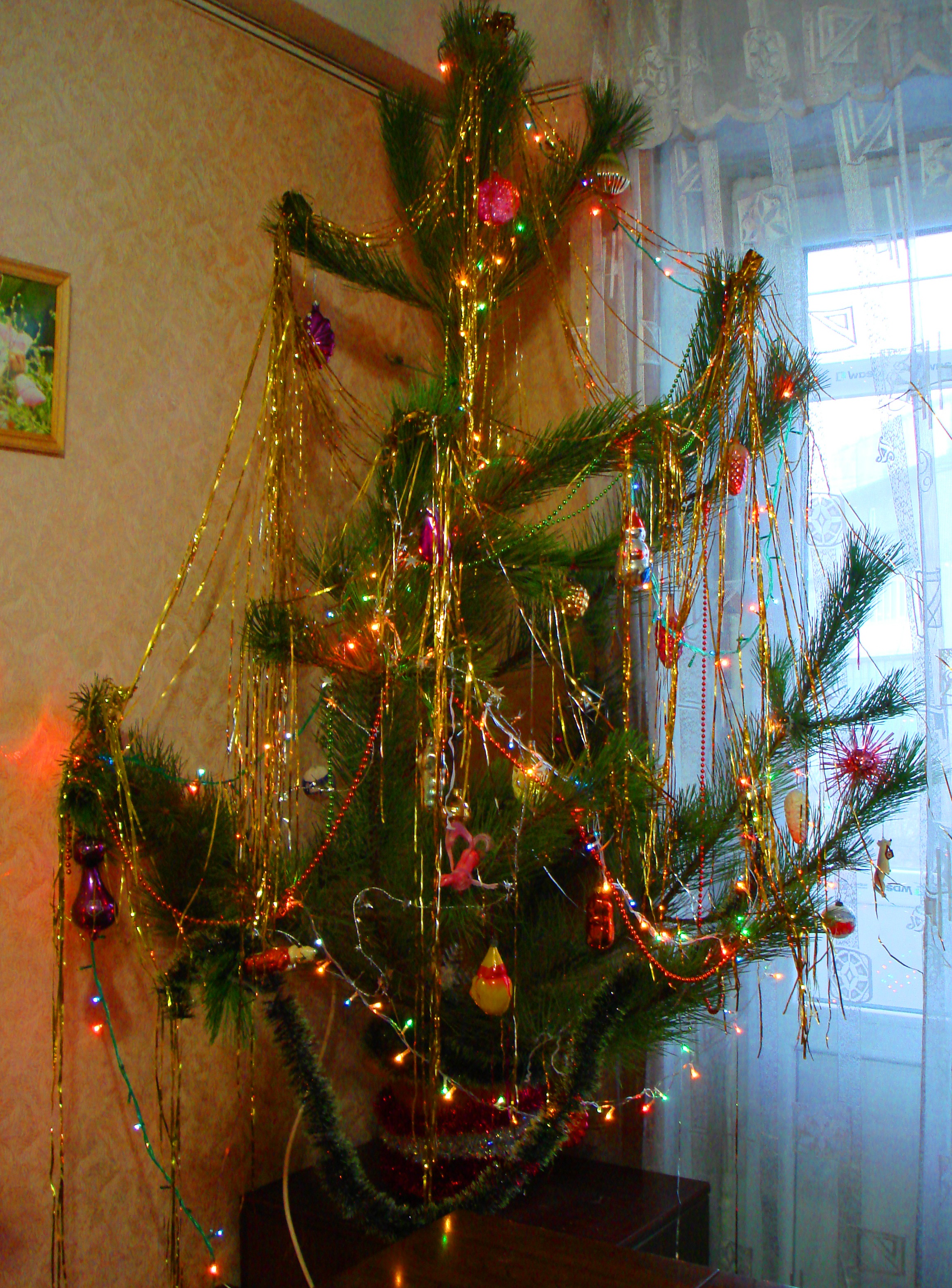 DSC01413-22.jpg