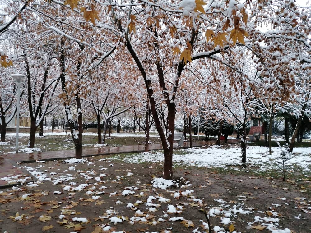 imagepark123 (9).jpeg