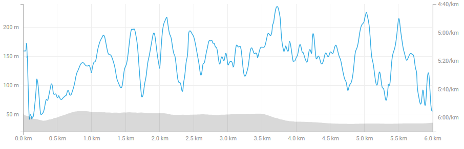 screenshot-www.strava.com-2018-06-12-17-05-18.png