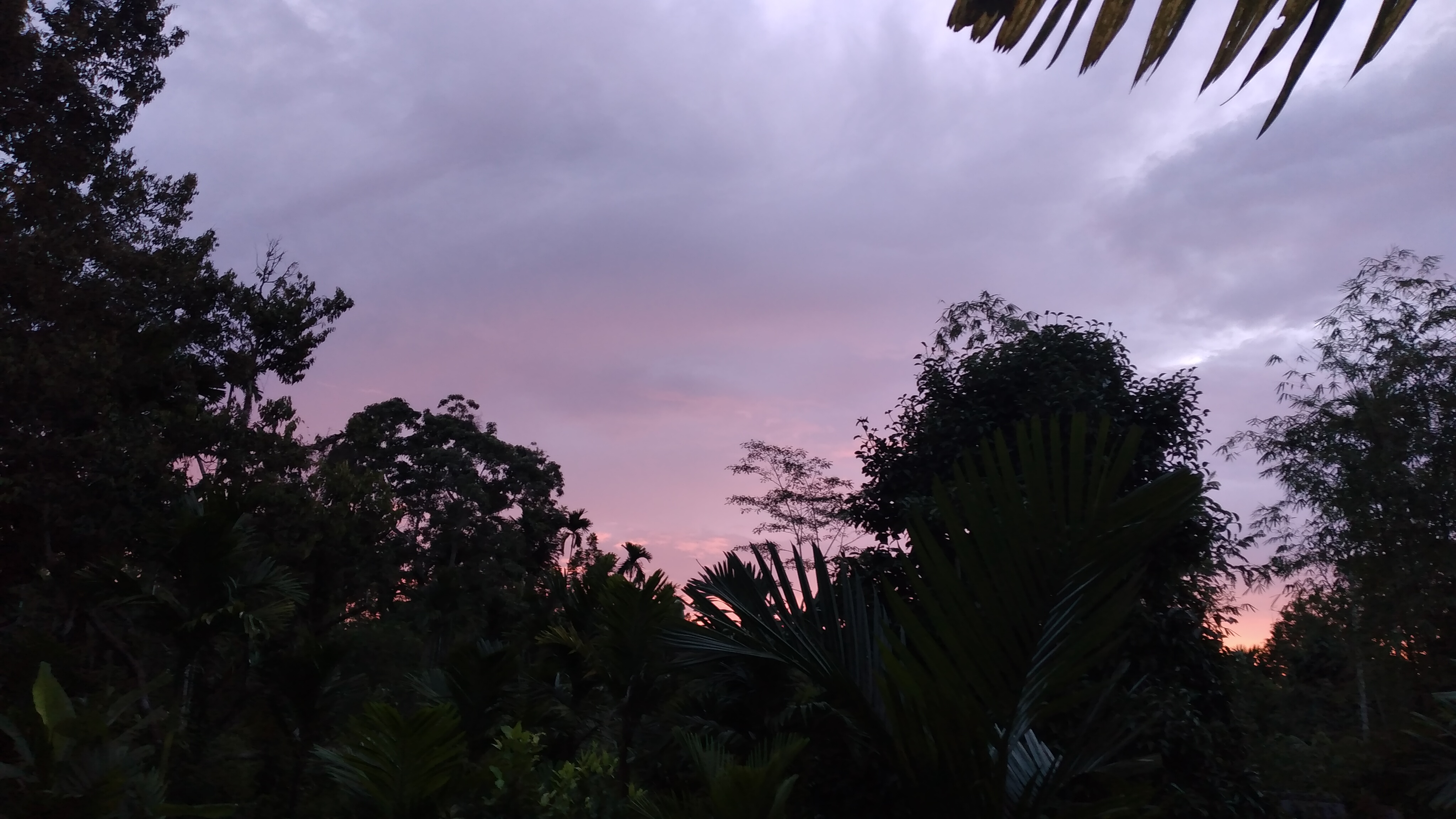 IMG_20220106_183249.jpg