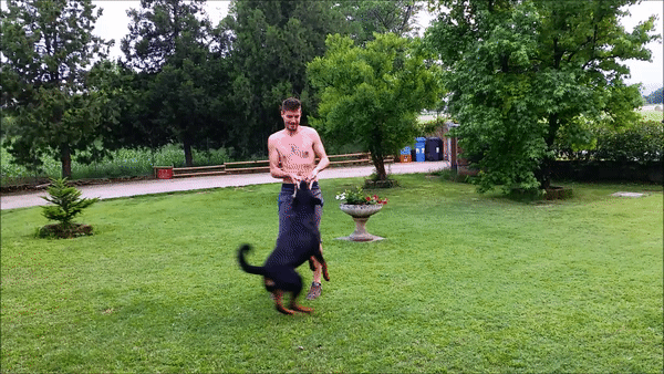 ezgif_com-gif-maker(1).gif