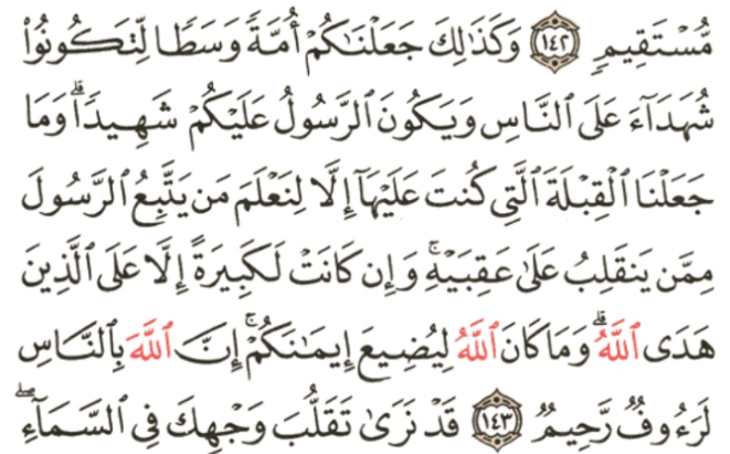 Screenshot_20230207-102139_2.png