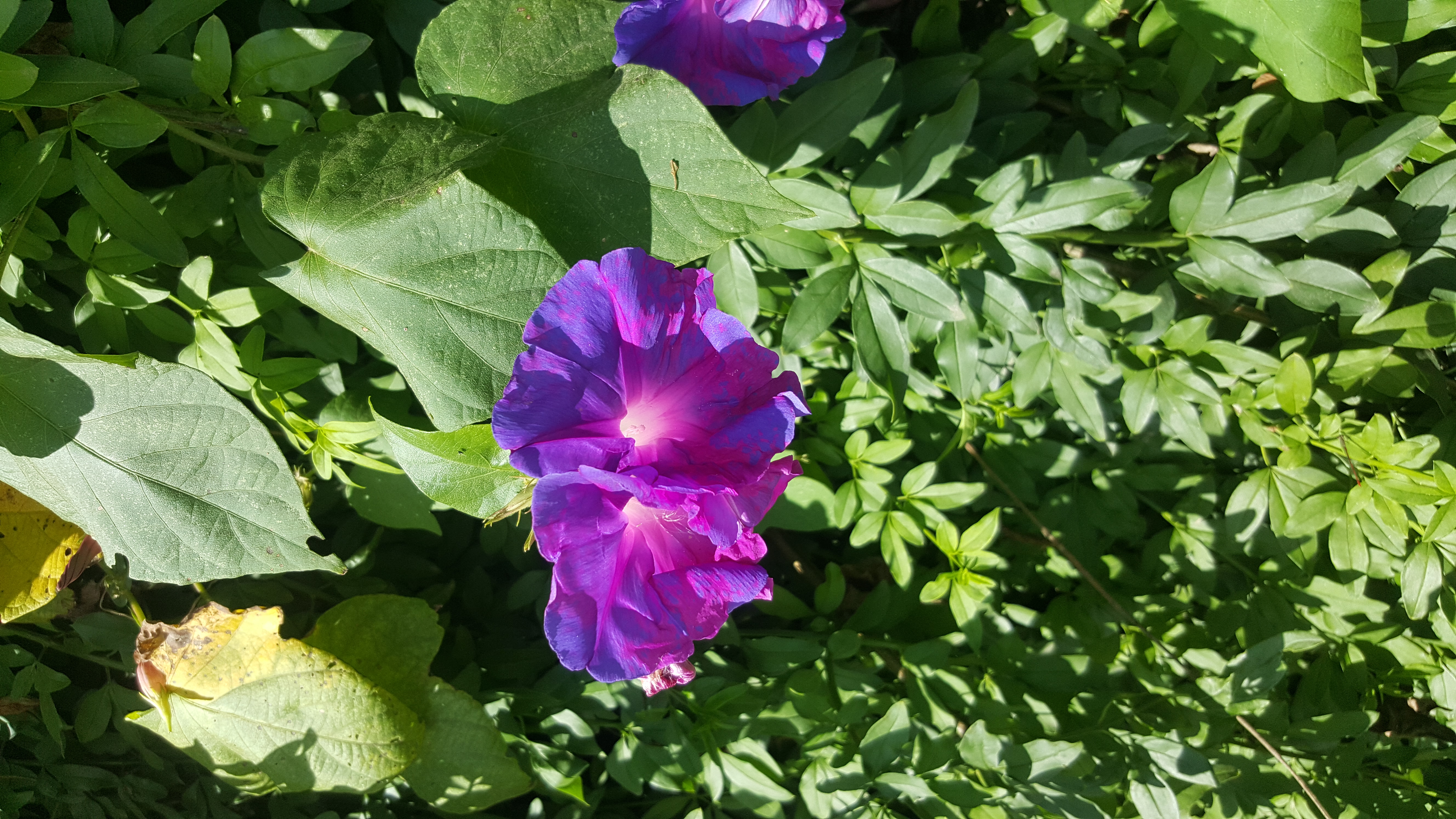 20190317_140057.jpg