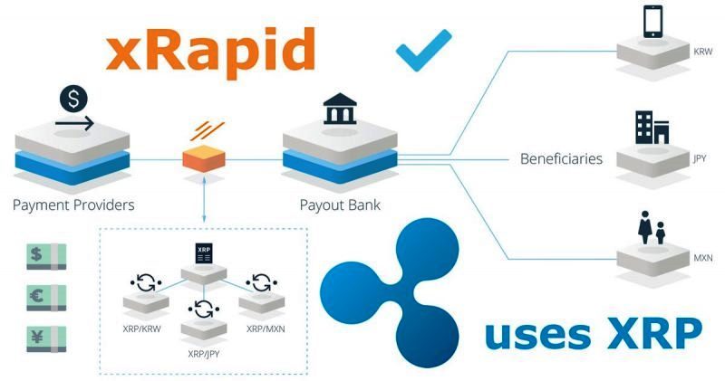 Ripple-xRapid-platform.jpg