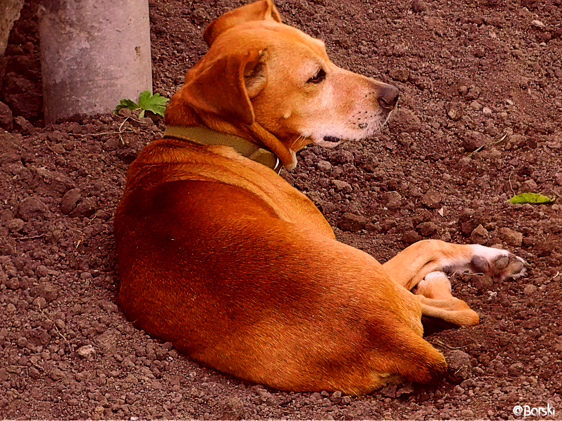 1aprDSC07414(1).png