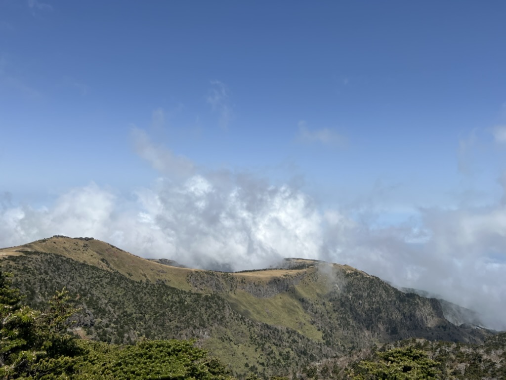 75FC46B3-00F0-4DF3-802C-698A862BDF46_1_105_c.jpeg