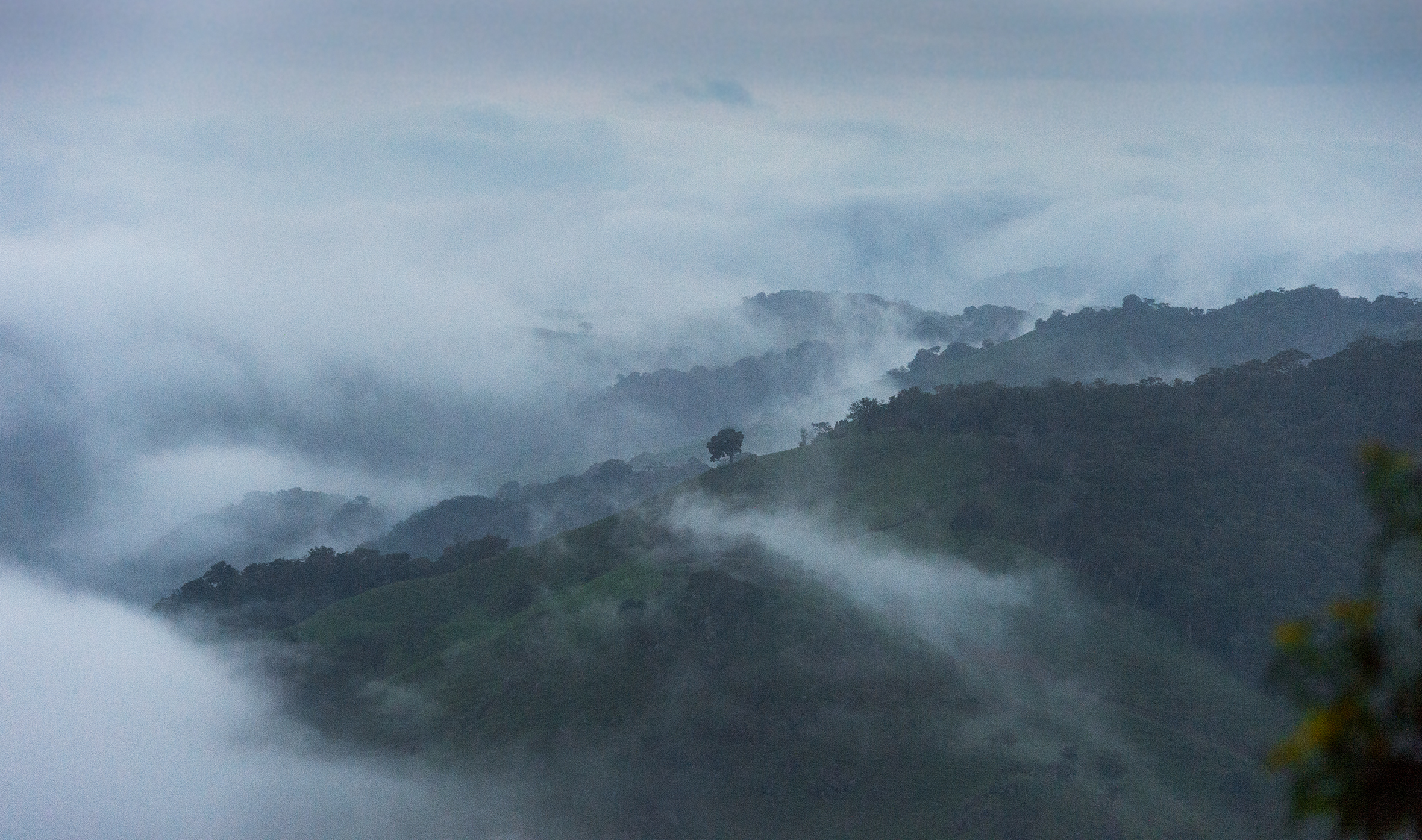 20140828_Costa Rica Monte Verde_0161.jpg