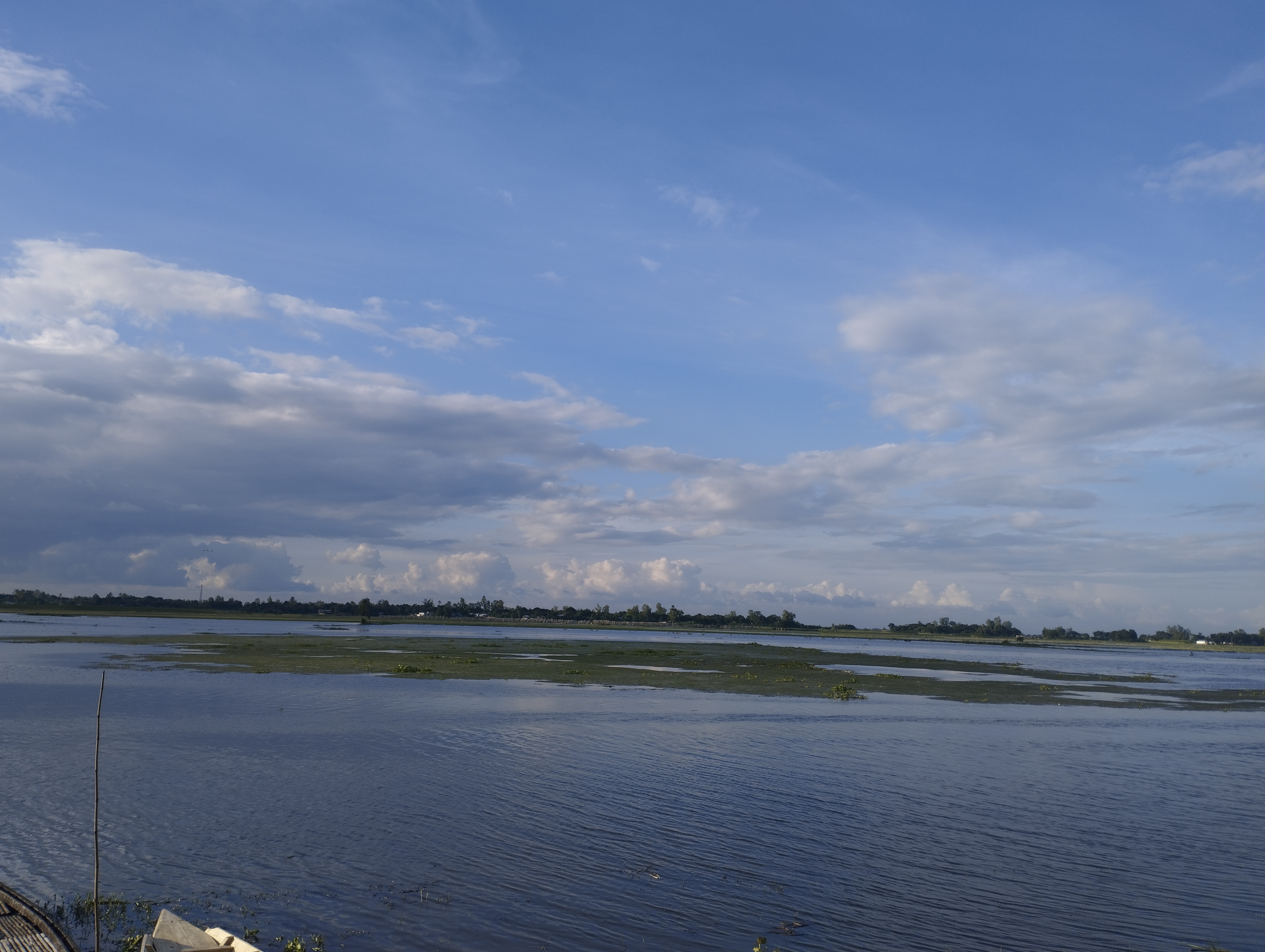 IMG_20260807_172923.jpg