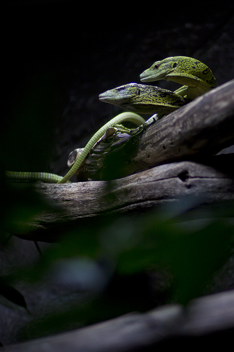 _MG_3900.jpg
