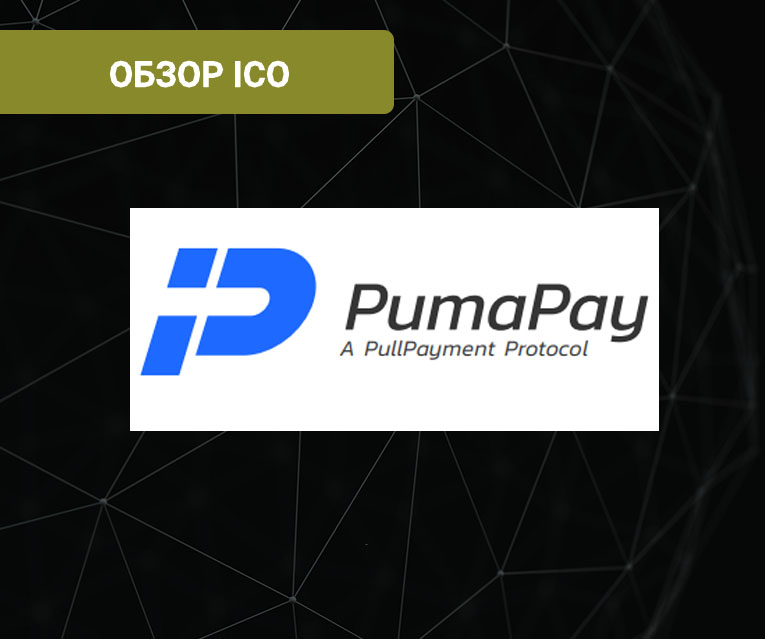 Компания обзор. Обзор компании. Review фирма. PUMAPAY scheme. Обзор на компанию integran.