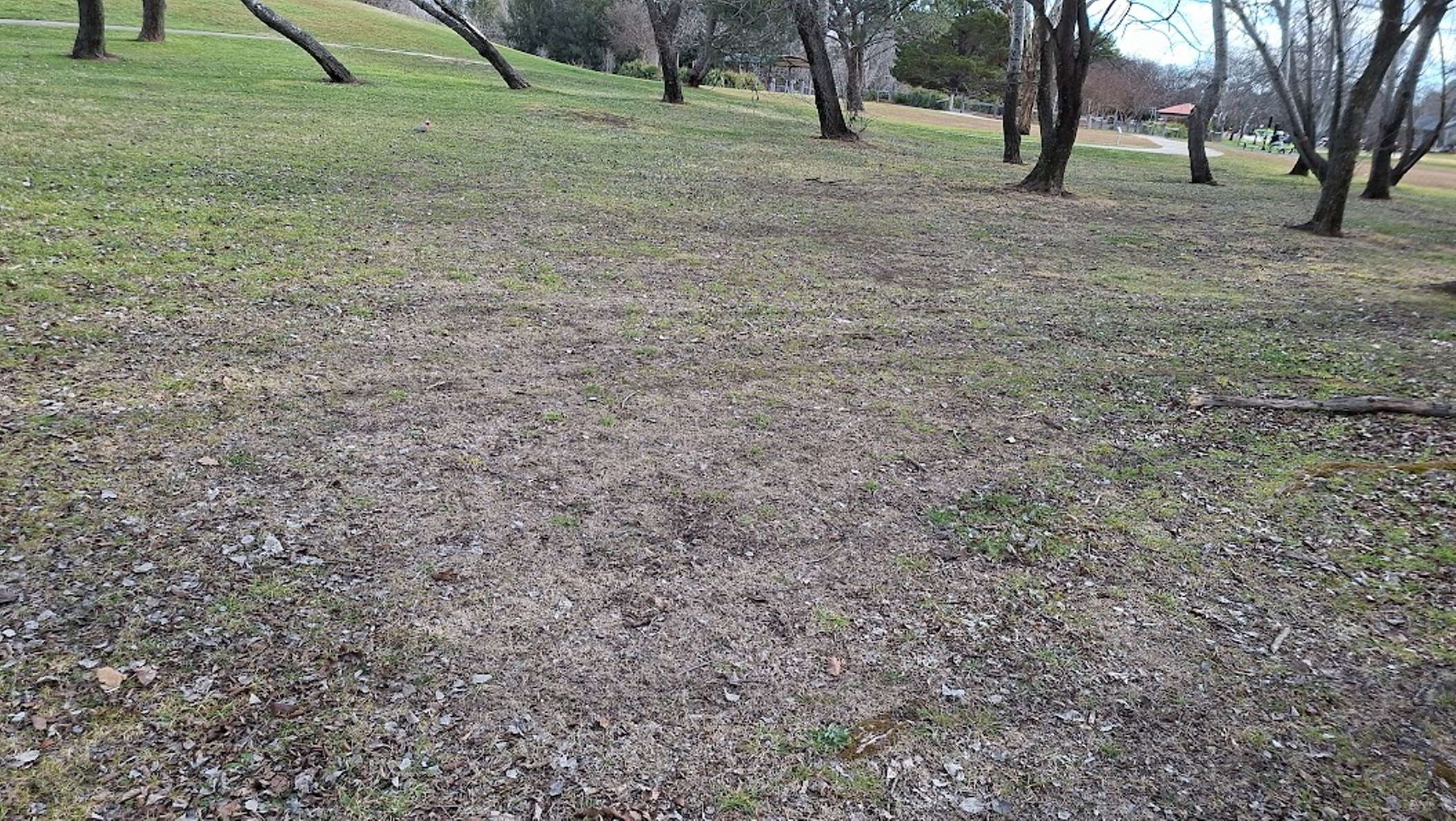 20250721_124754.jpg