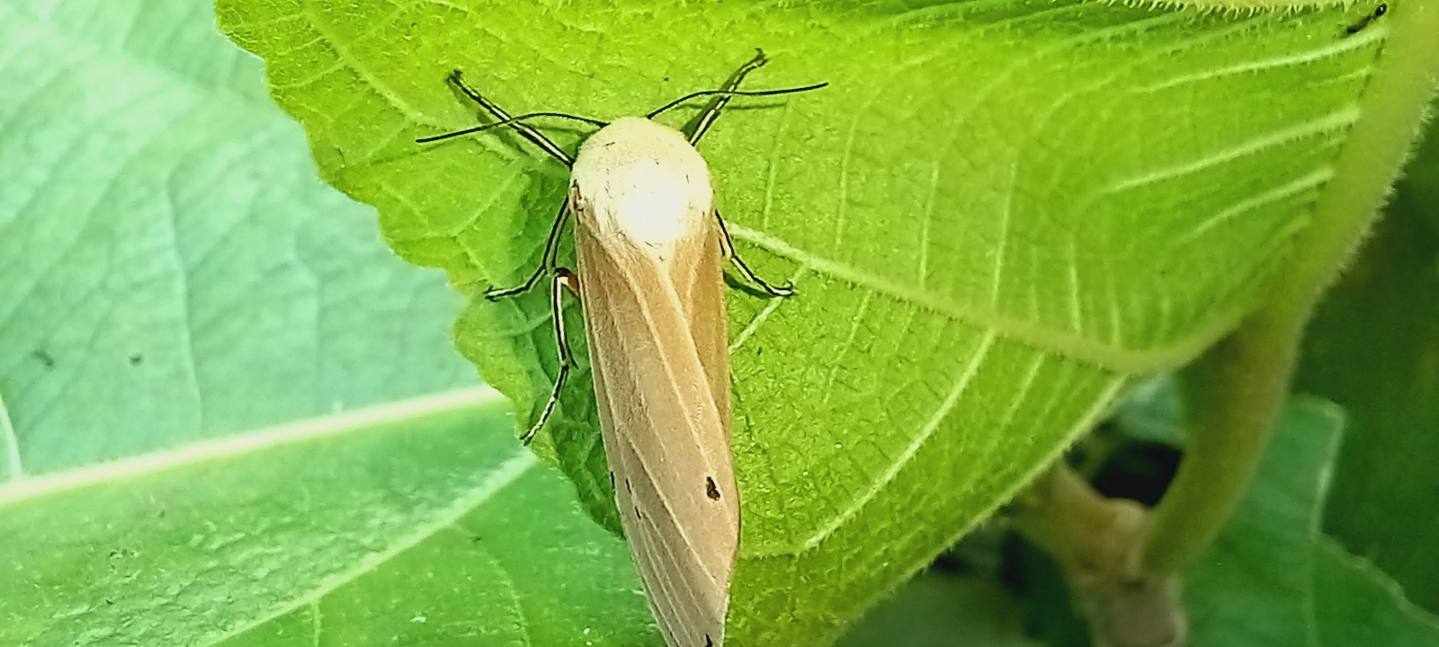20250718_152818.jpg