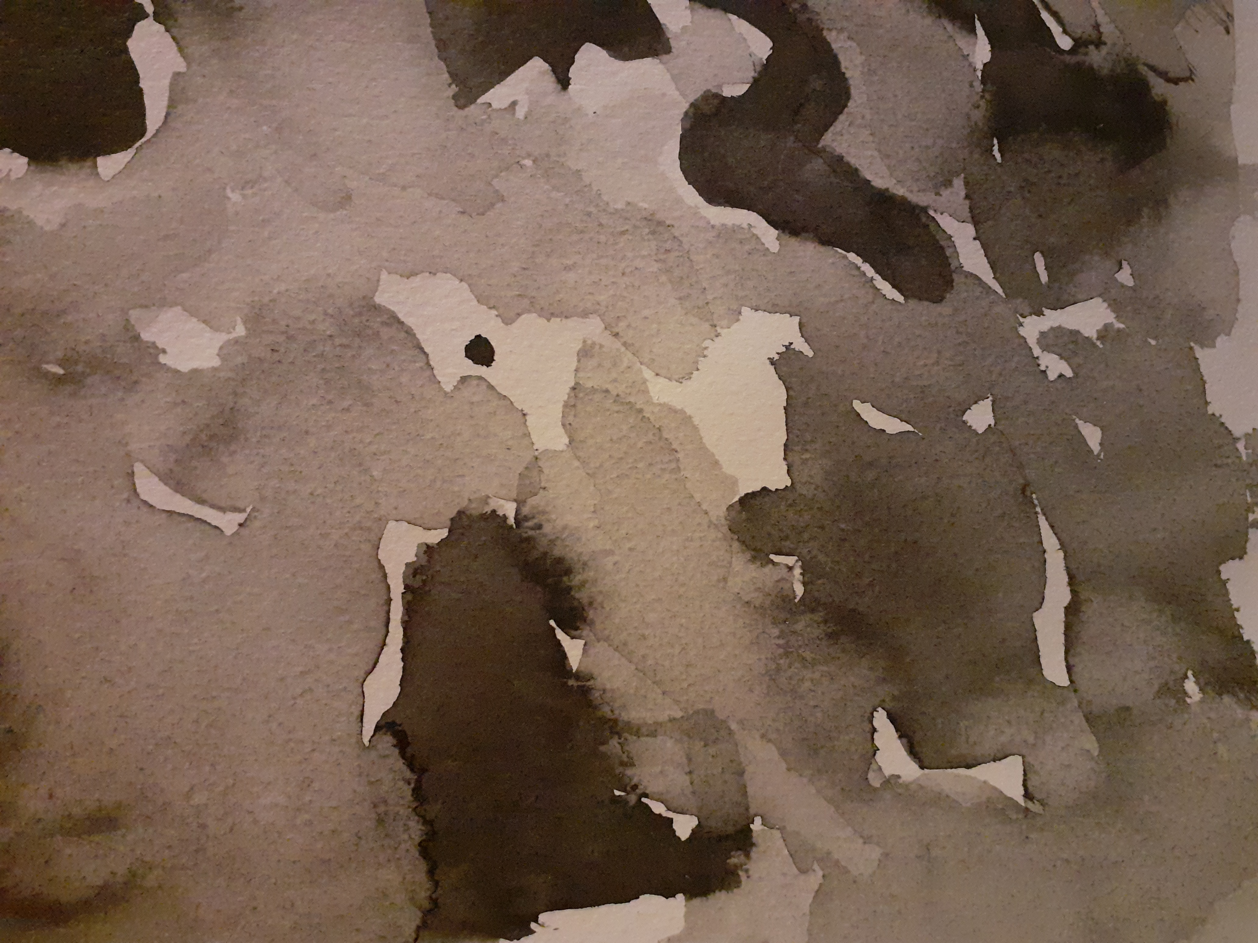 20261007_181748.jpg