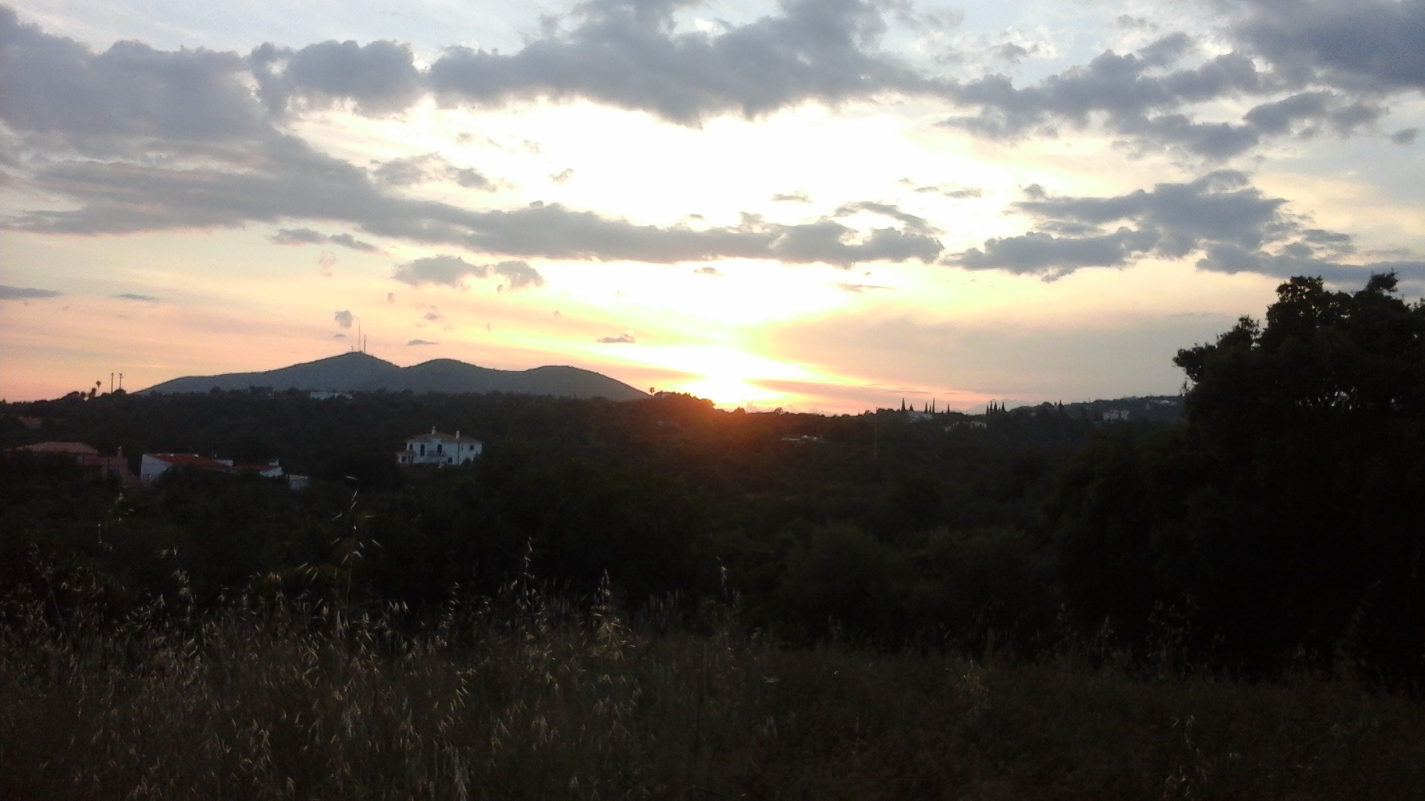 20180520_201405.jpg