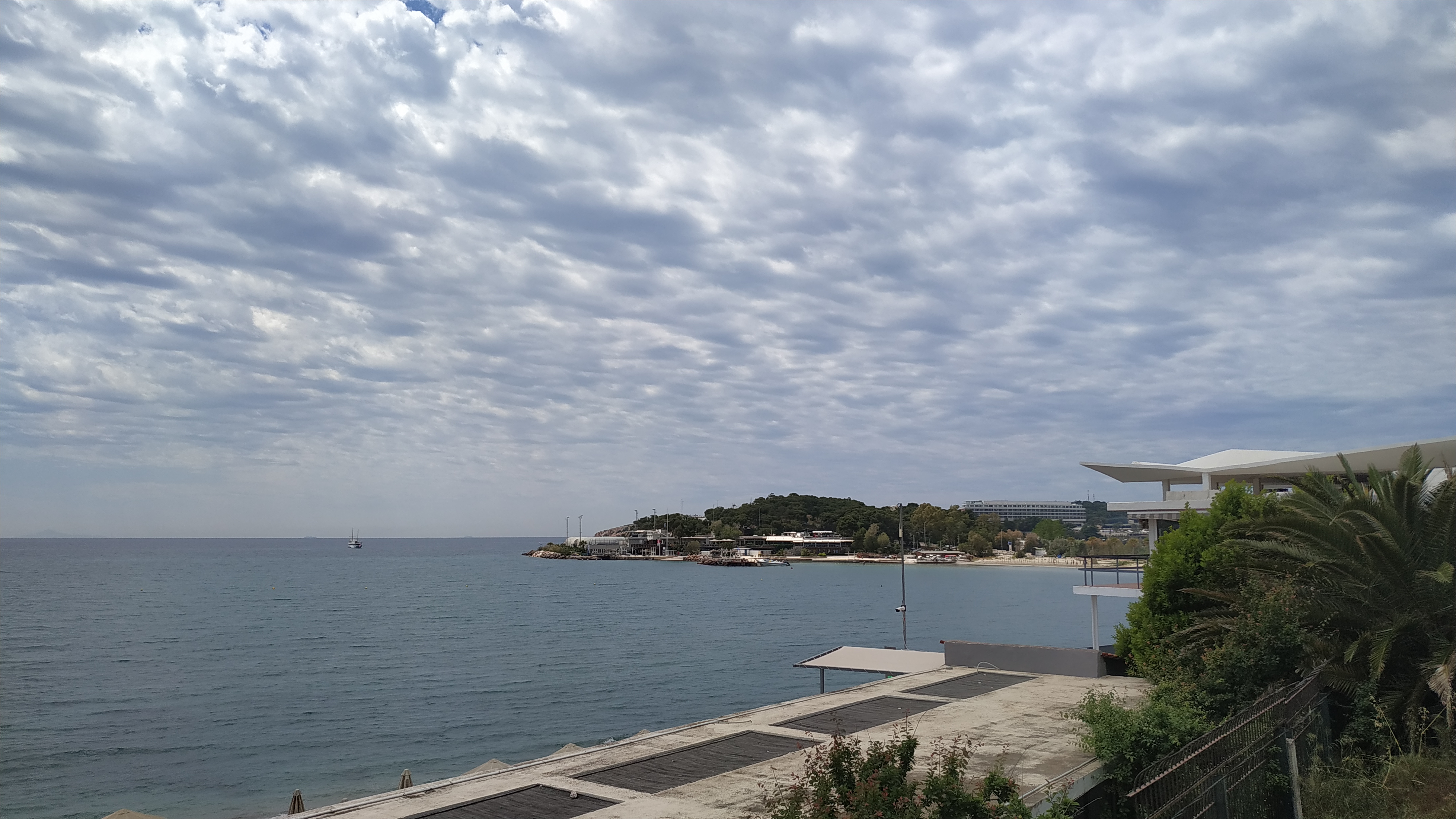IMG_20190513_114835.jpg