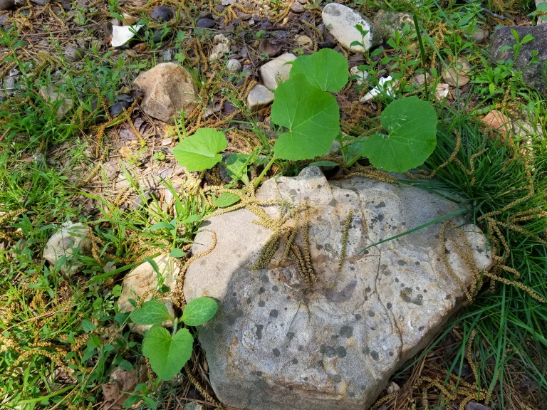 20180516_143403.jpg