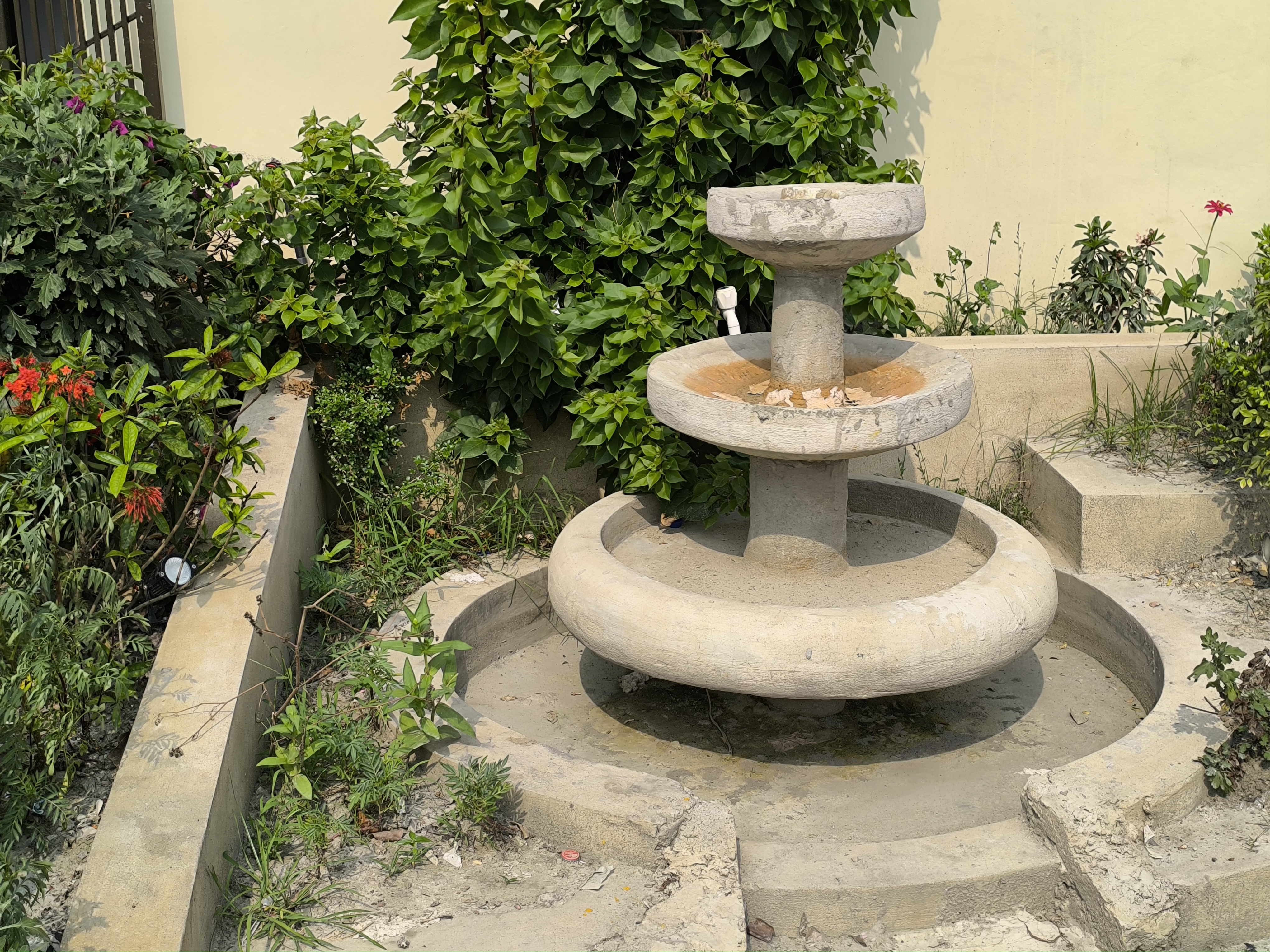 IMG_20260522_150047.jpg